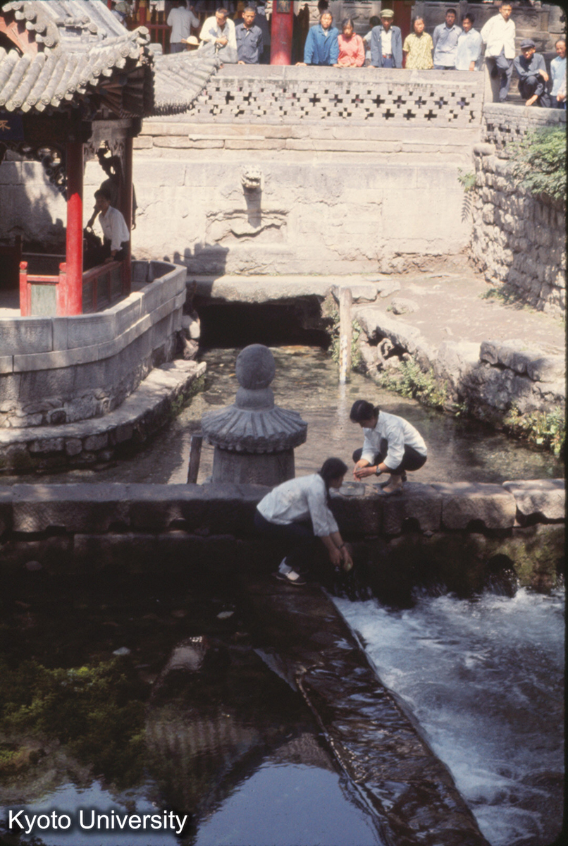 541_晋祠 池（草魚）リンゴを洗う (1)