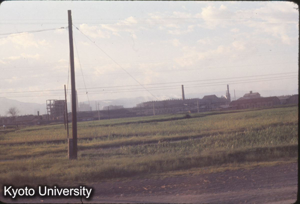 581_太原 水田 (1)