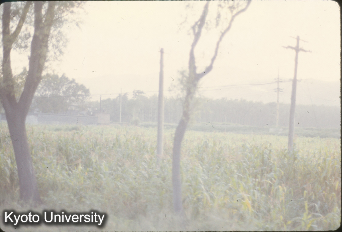 582_太原 水田 (1)