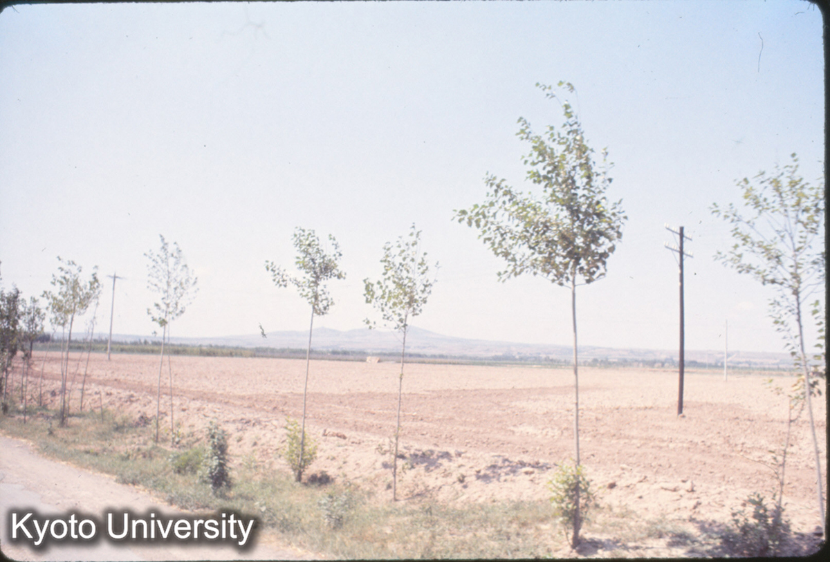 688_乾陵 遠望 (1)