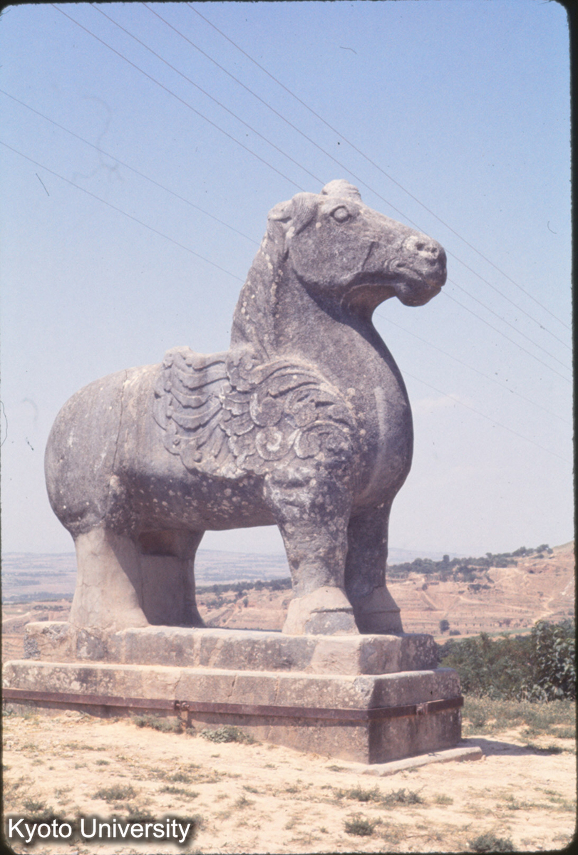 696_乾陵 石獣 (1)