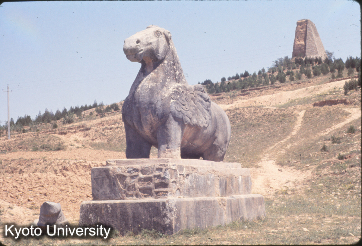 697_乾陵 石獣 (1)