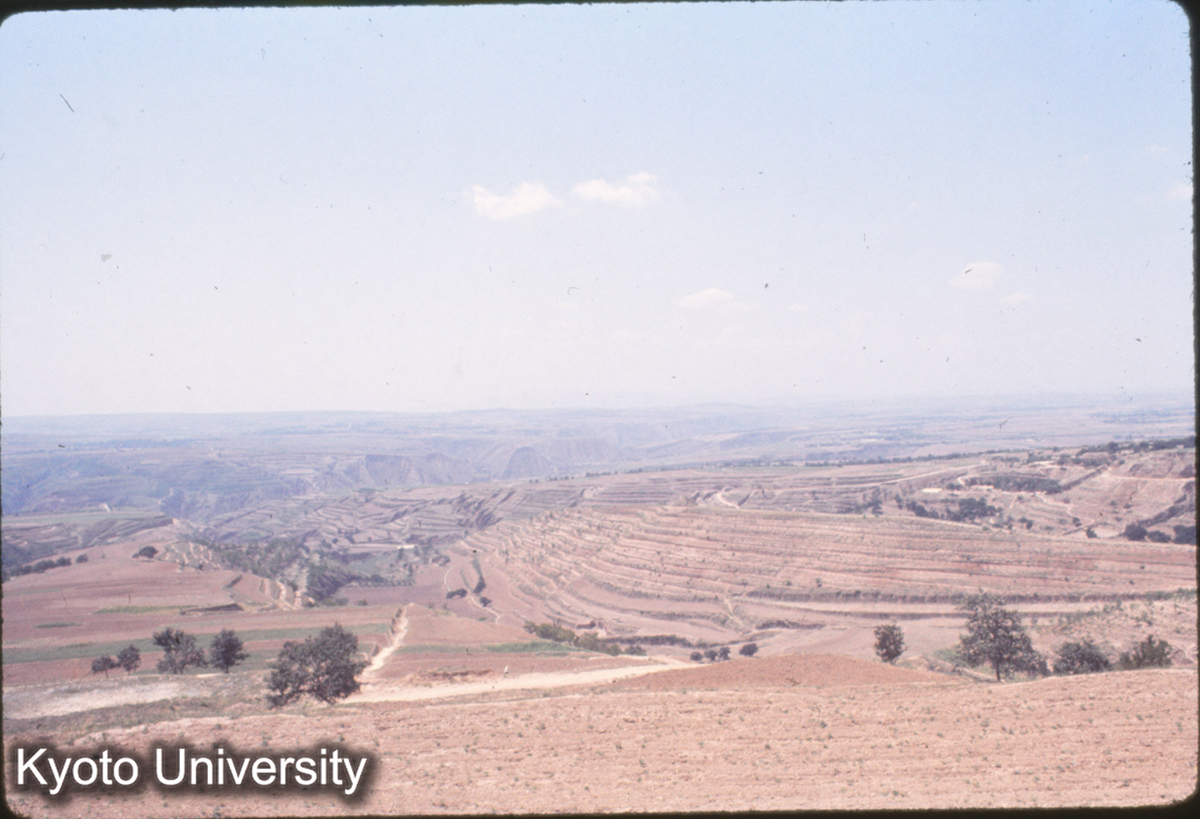 706_乾陵から腑観 段々畑 (1)