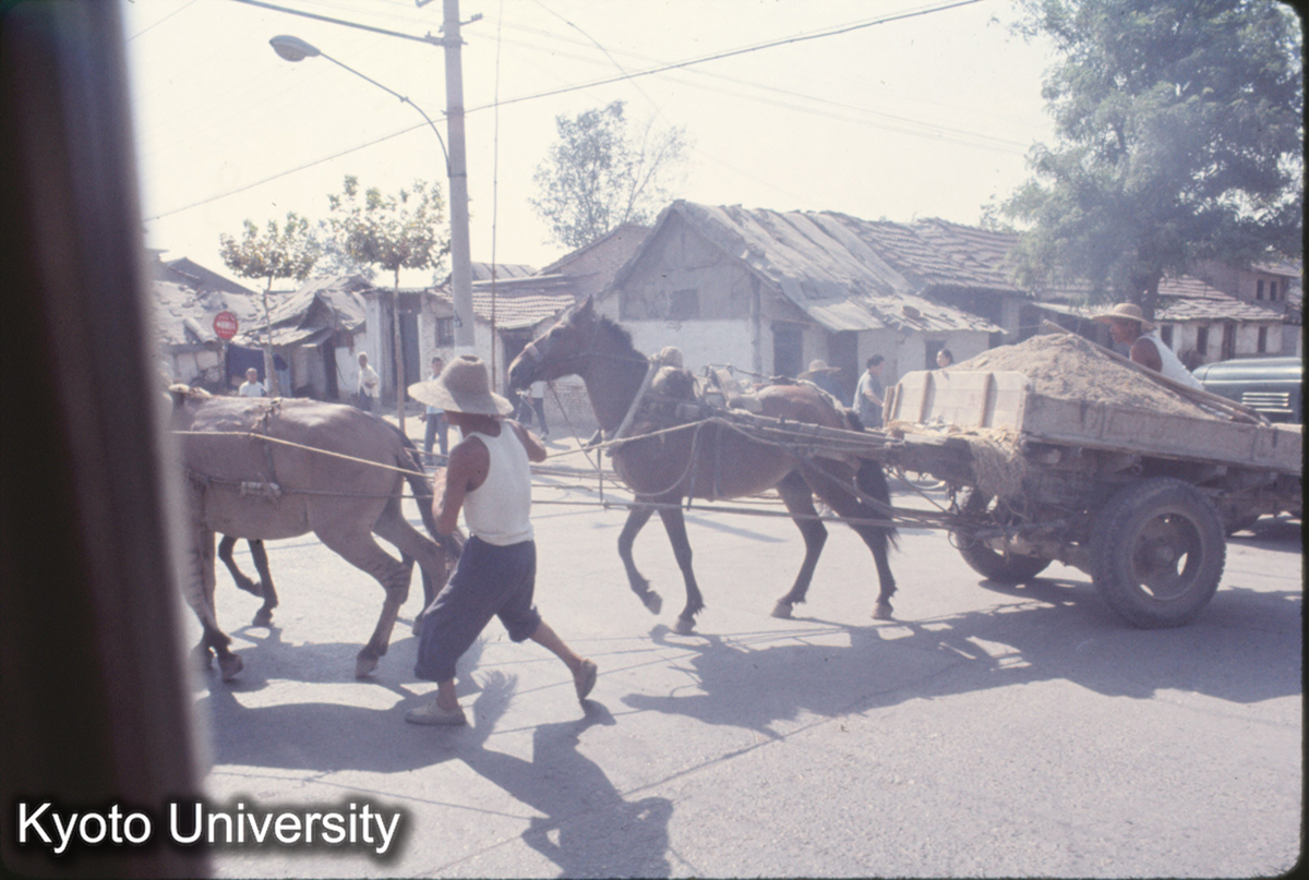 724_西安 （半坡帰路） (1)