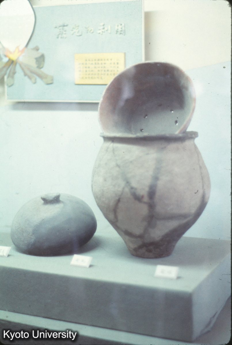 732_半坡 蒸し器 (1)