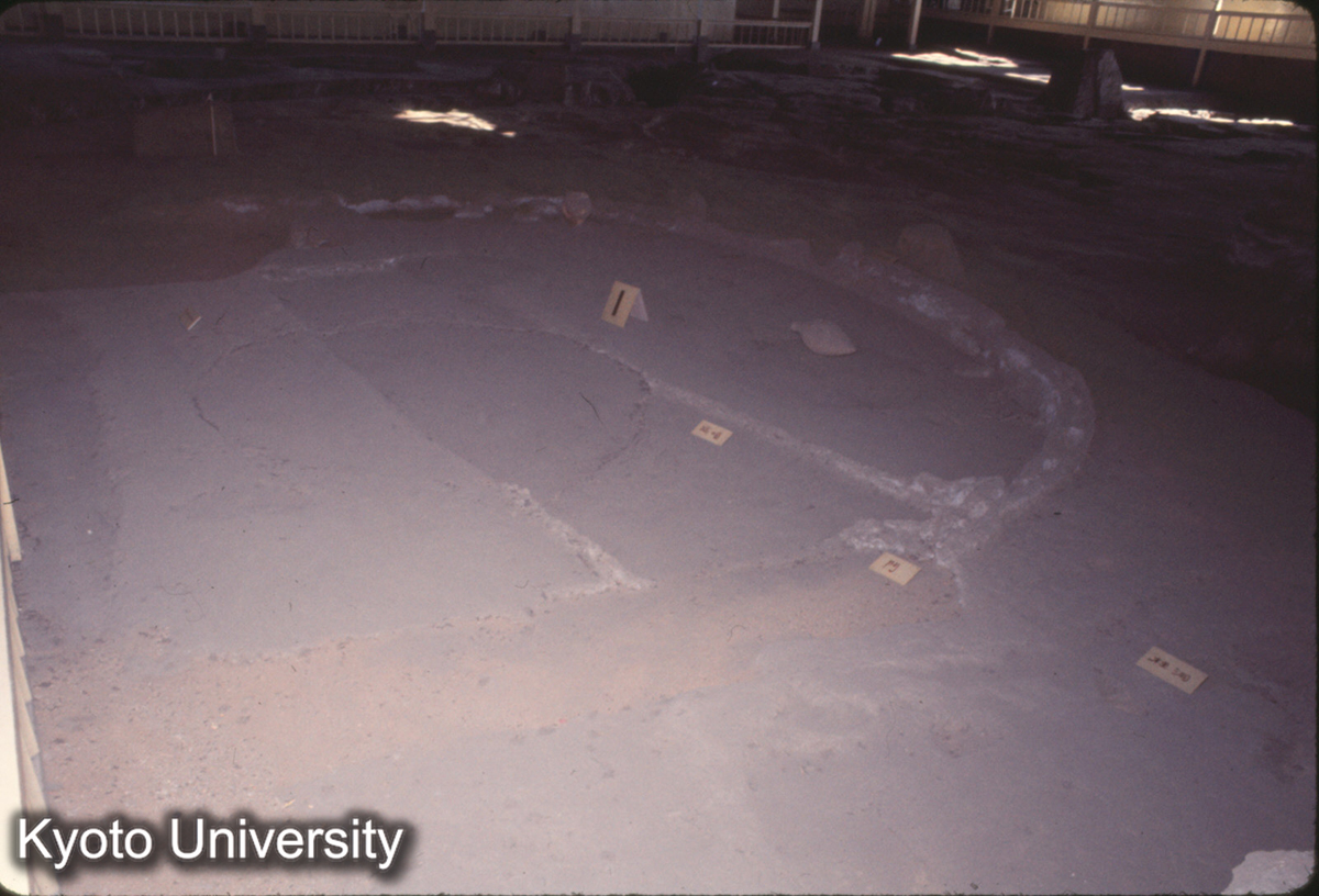 734_半坡 住居址 (1)