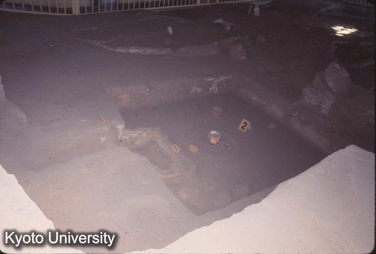 736_半坡 住居址_77 (1)