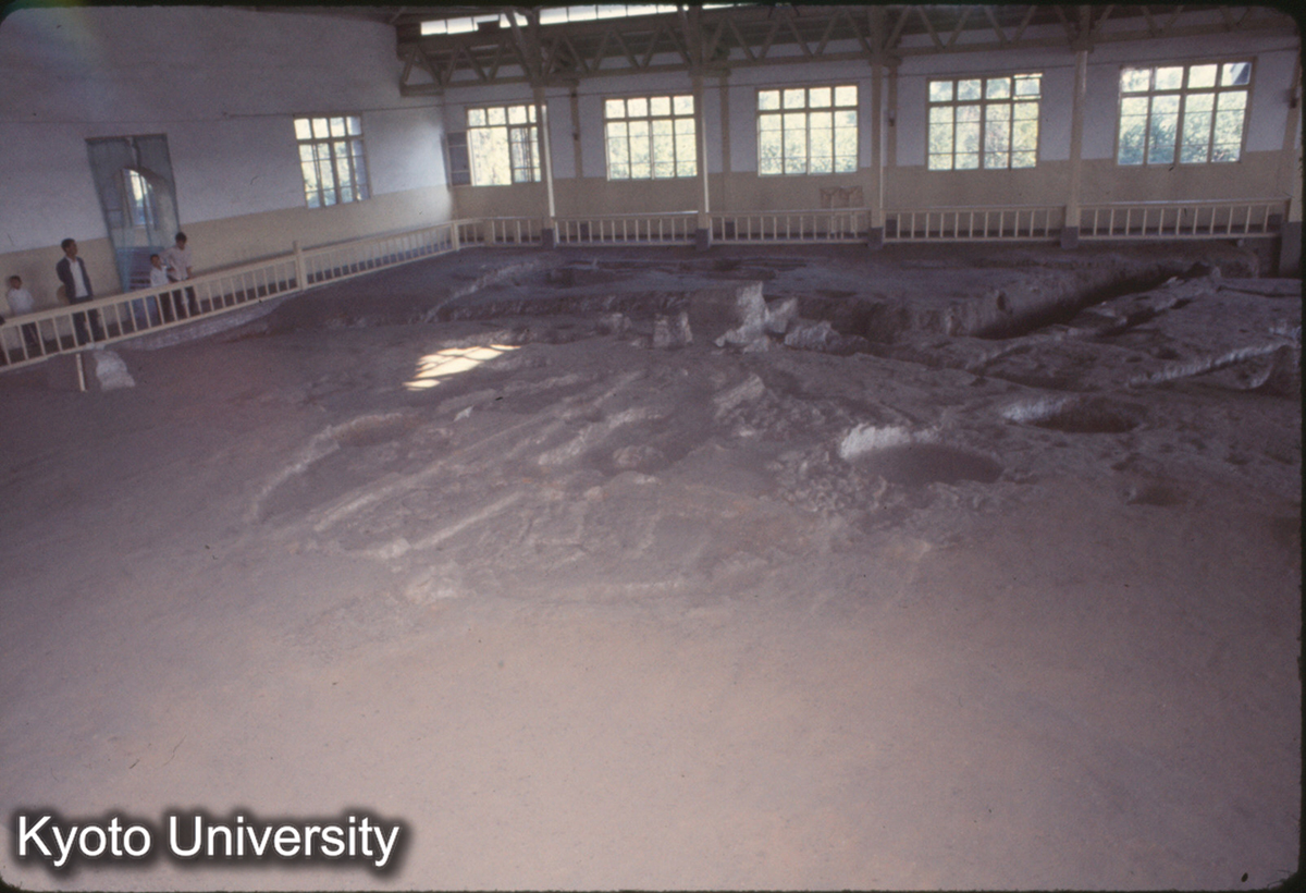 737_半坡 住居址 (1)