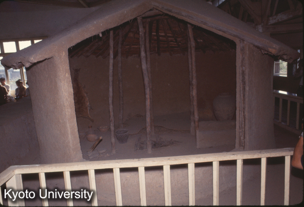 739_半坡 復原住居_77 (1)