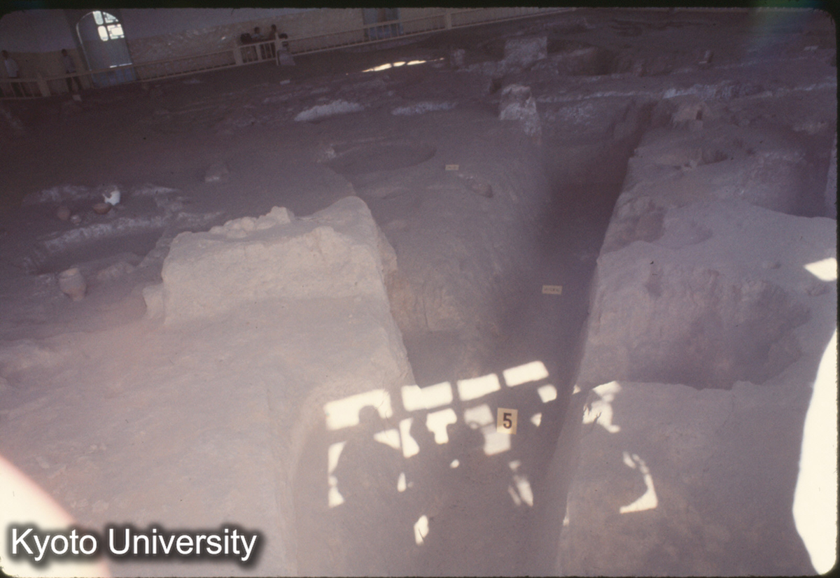 741_半坡 住居址 (1)