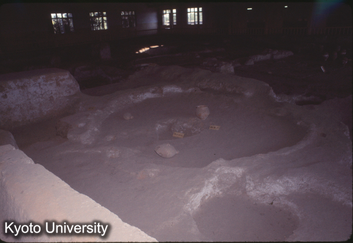 745_半坡 住居址 (1)