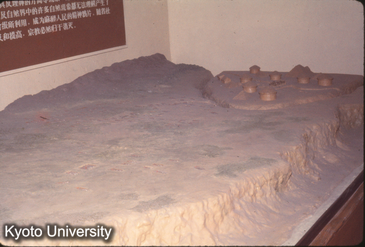 748_半坡 墓群模型 (1)