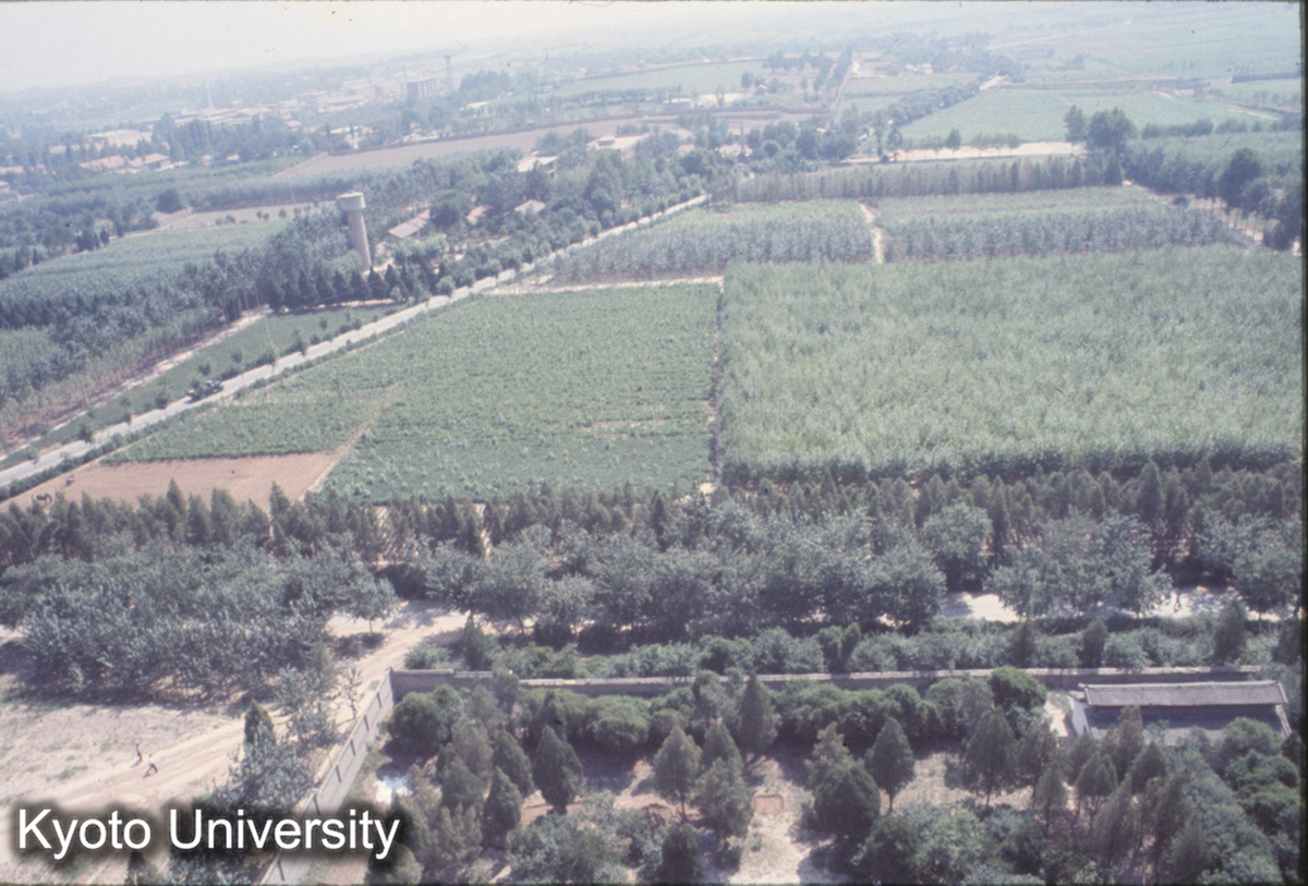 763_大雁塔より腑観 (1)