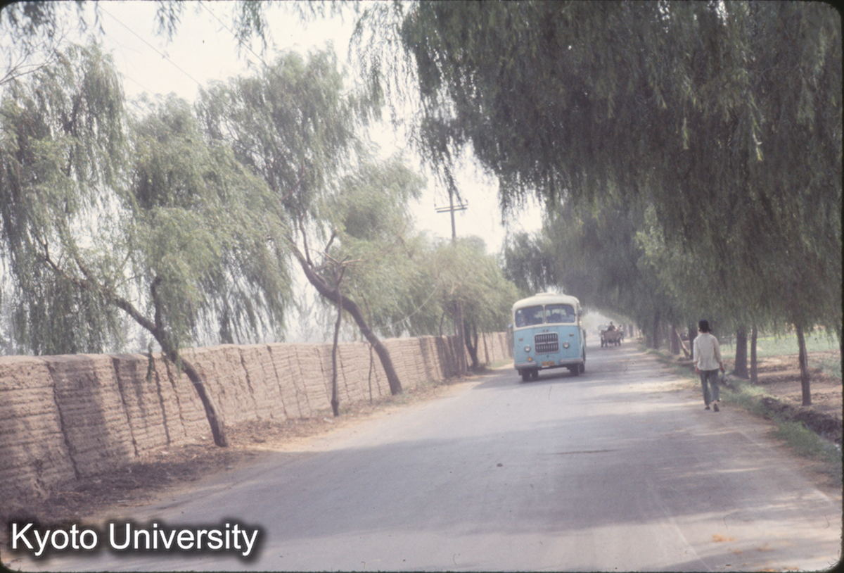 772_西安 土坯墻（驪山往路） (1)