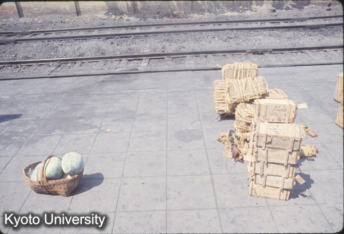 939_洛陽東站 (1)