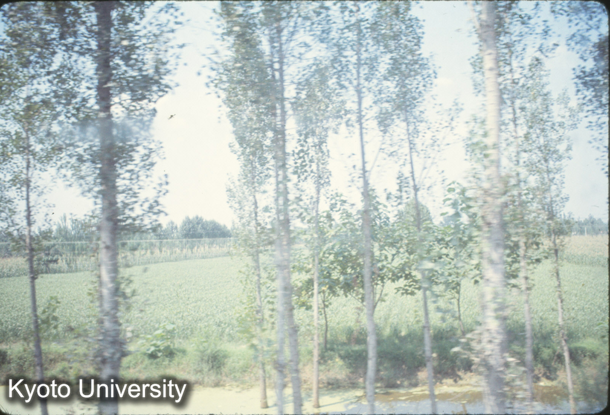 940_洛陽付近 (1)