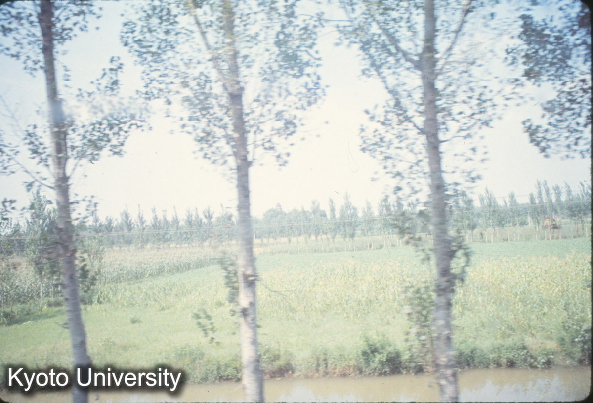 941_白馬寺遠望（車窓より） (1)