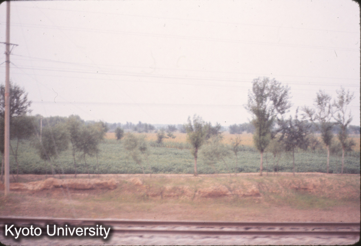 965_開封付近 (1)