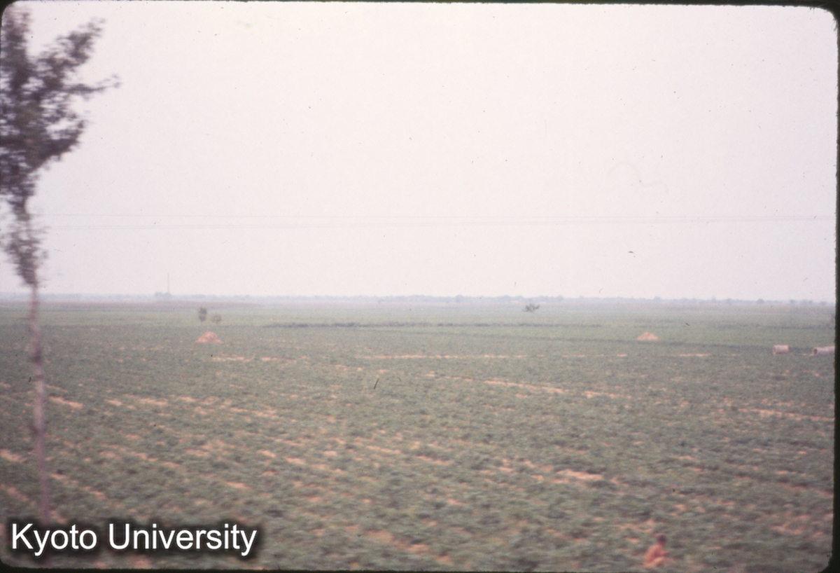 966_開封付近 (1)