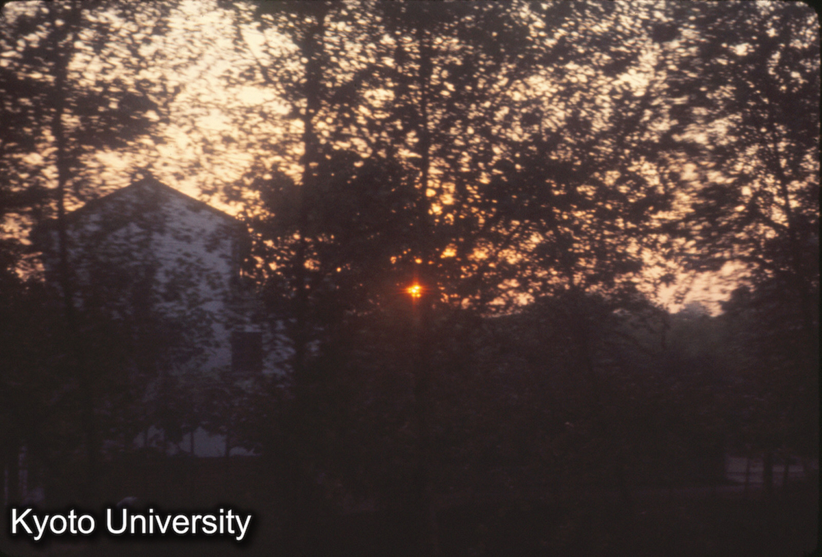 971_早朝 無錫付近 (1)