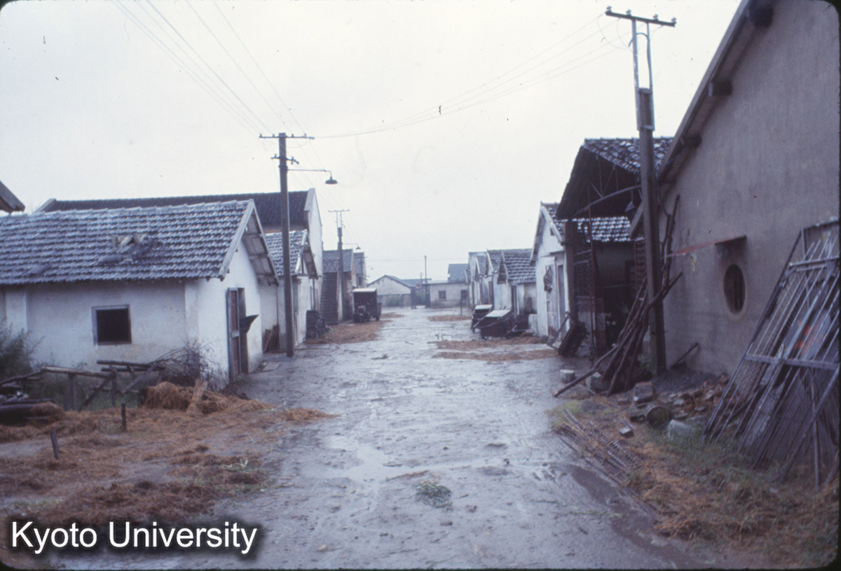 1029_上海 虹橋人民公社 (1)