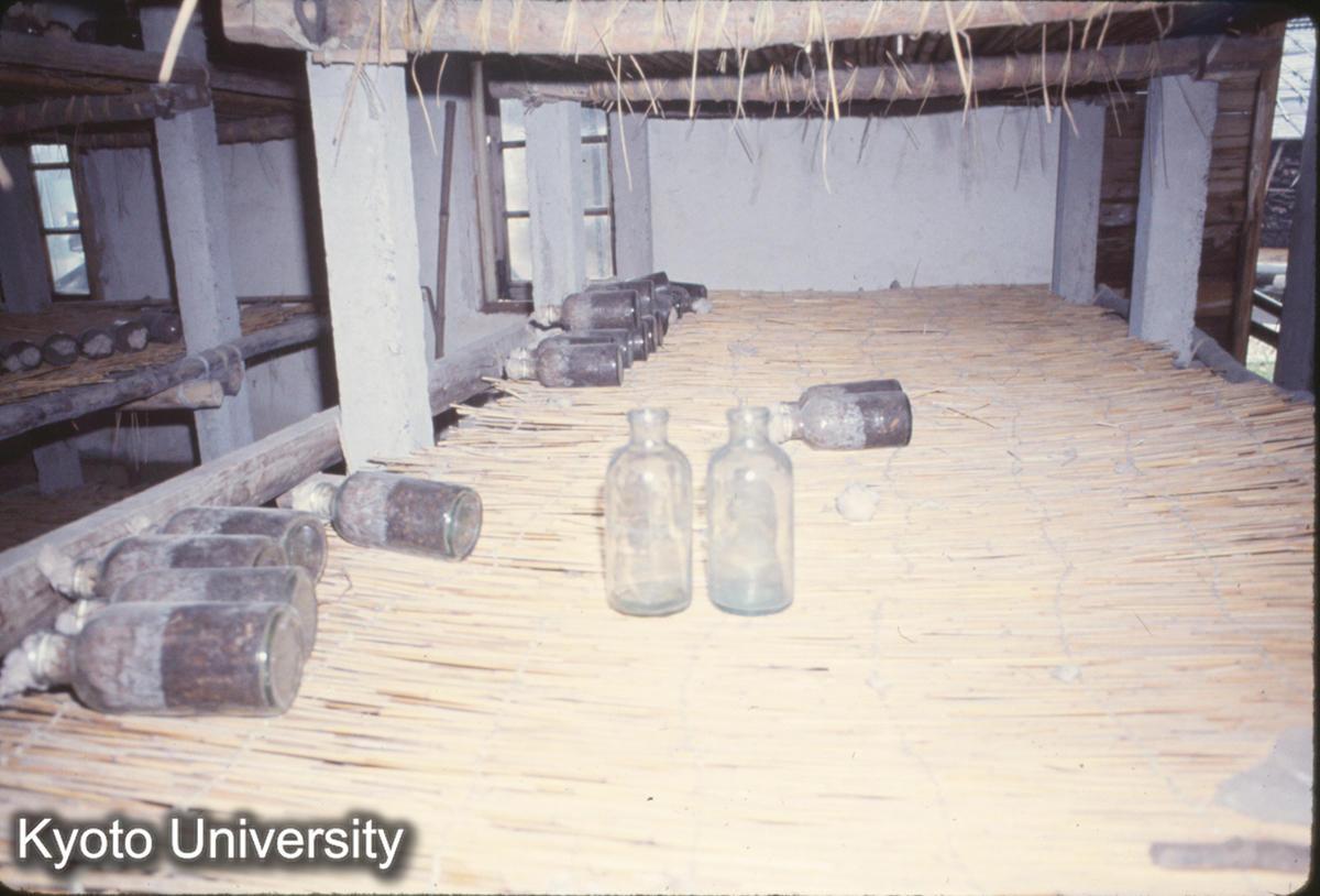 1030_上海 虹橋人民公社 マッシュルーム棚 (1)