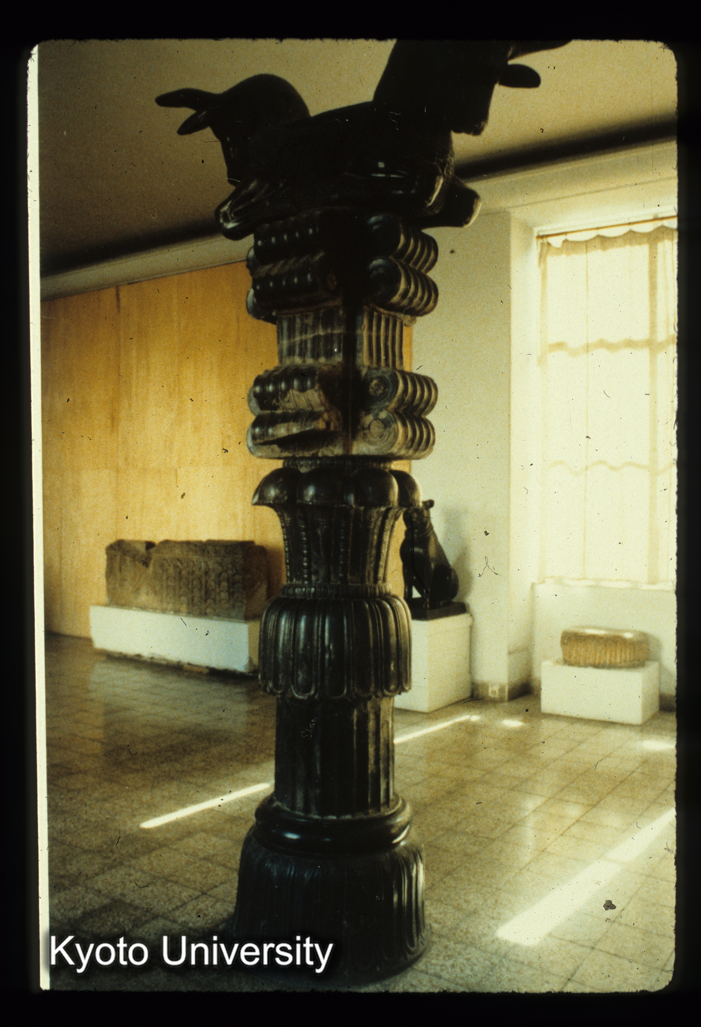 I3_Susa宮殿址出土柱頭（アケメニス朝） Iran Bastan Museum (1)