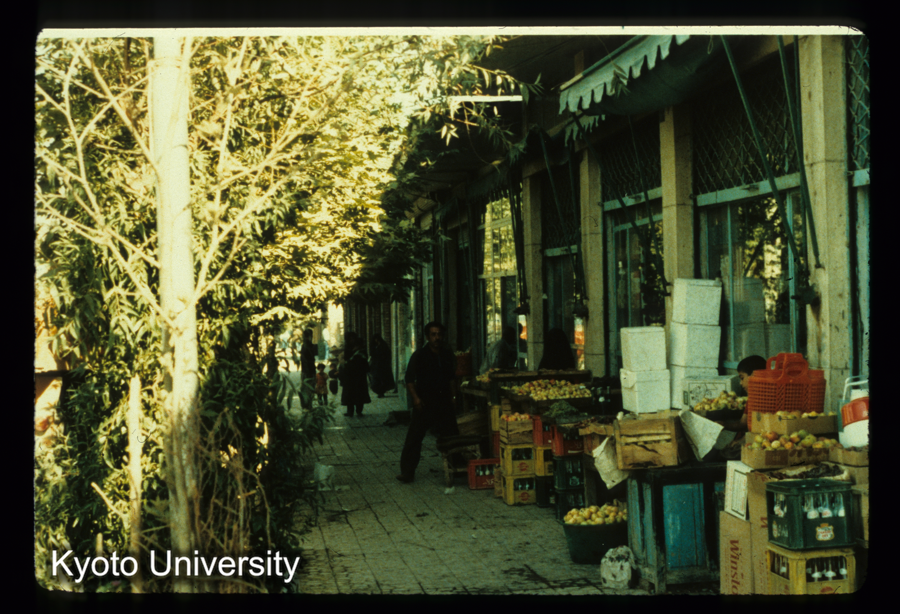 I50_Bistun-Kangauar途中の町 果物店 (1)