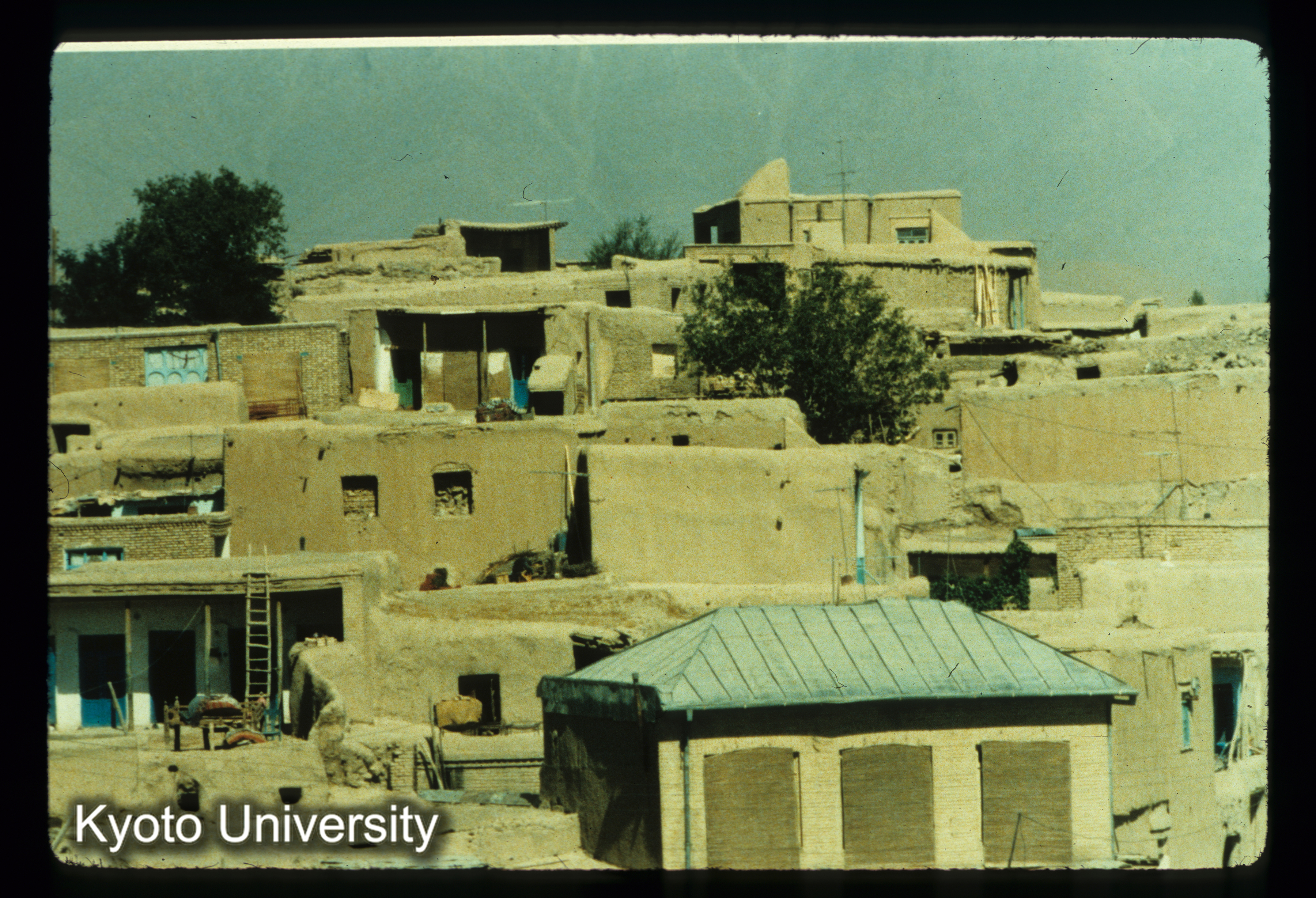 I54_Kangavar付近の民家 (1)