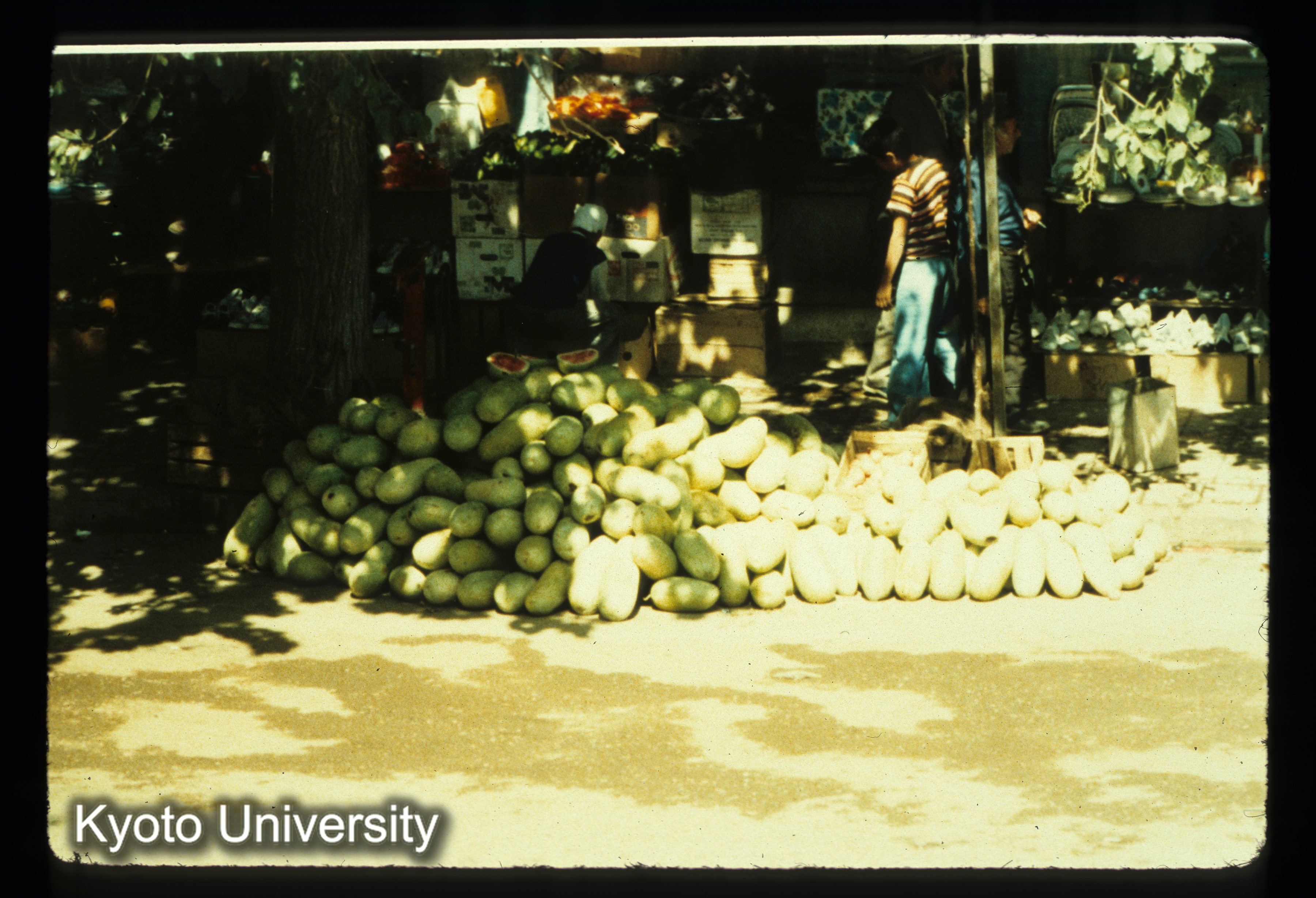 I55_Kanghavar付近の果物売り（すいか） (1)