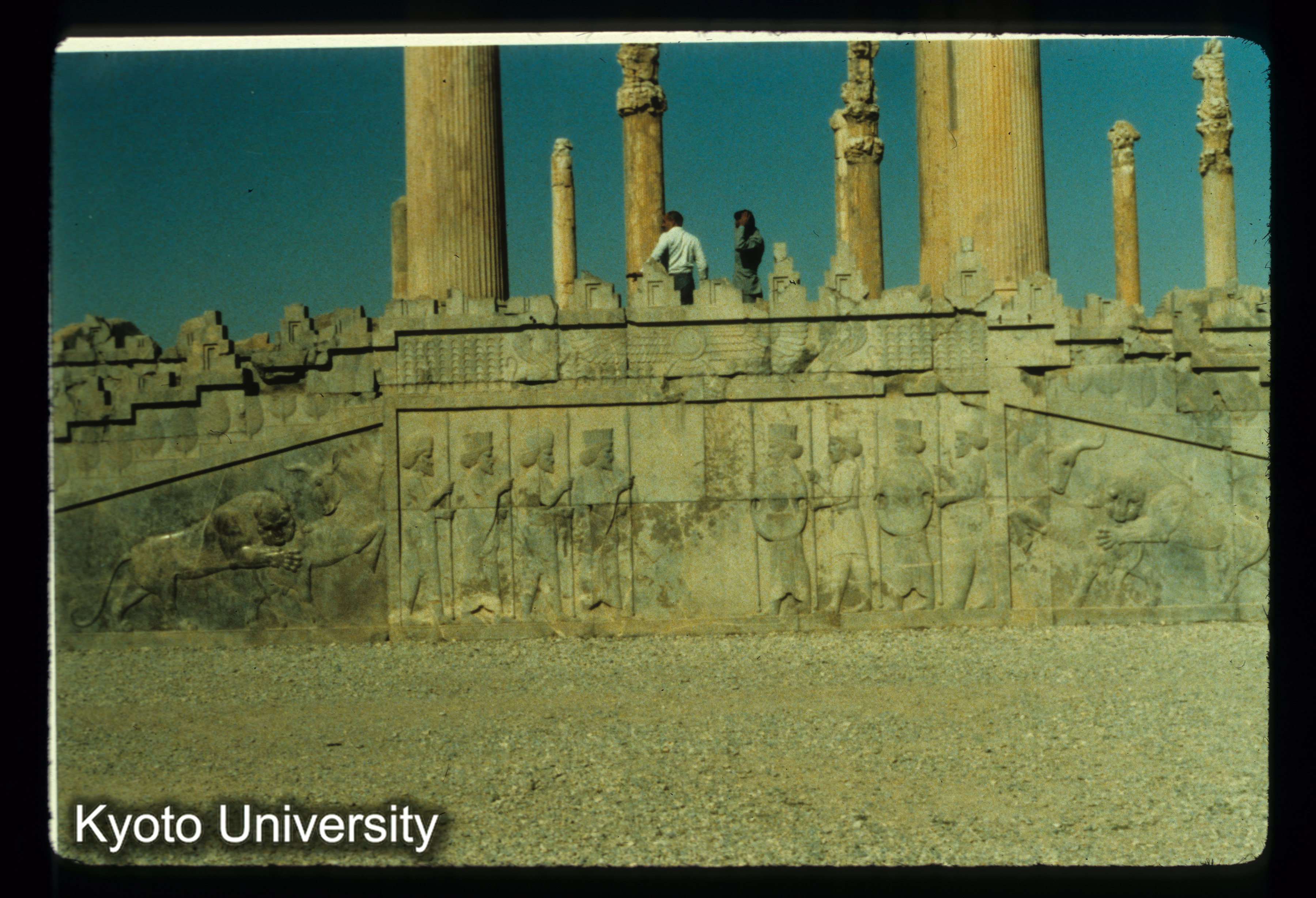 I77_Apàdànà 東portico 基壇浮彫（persepolis） (1)