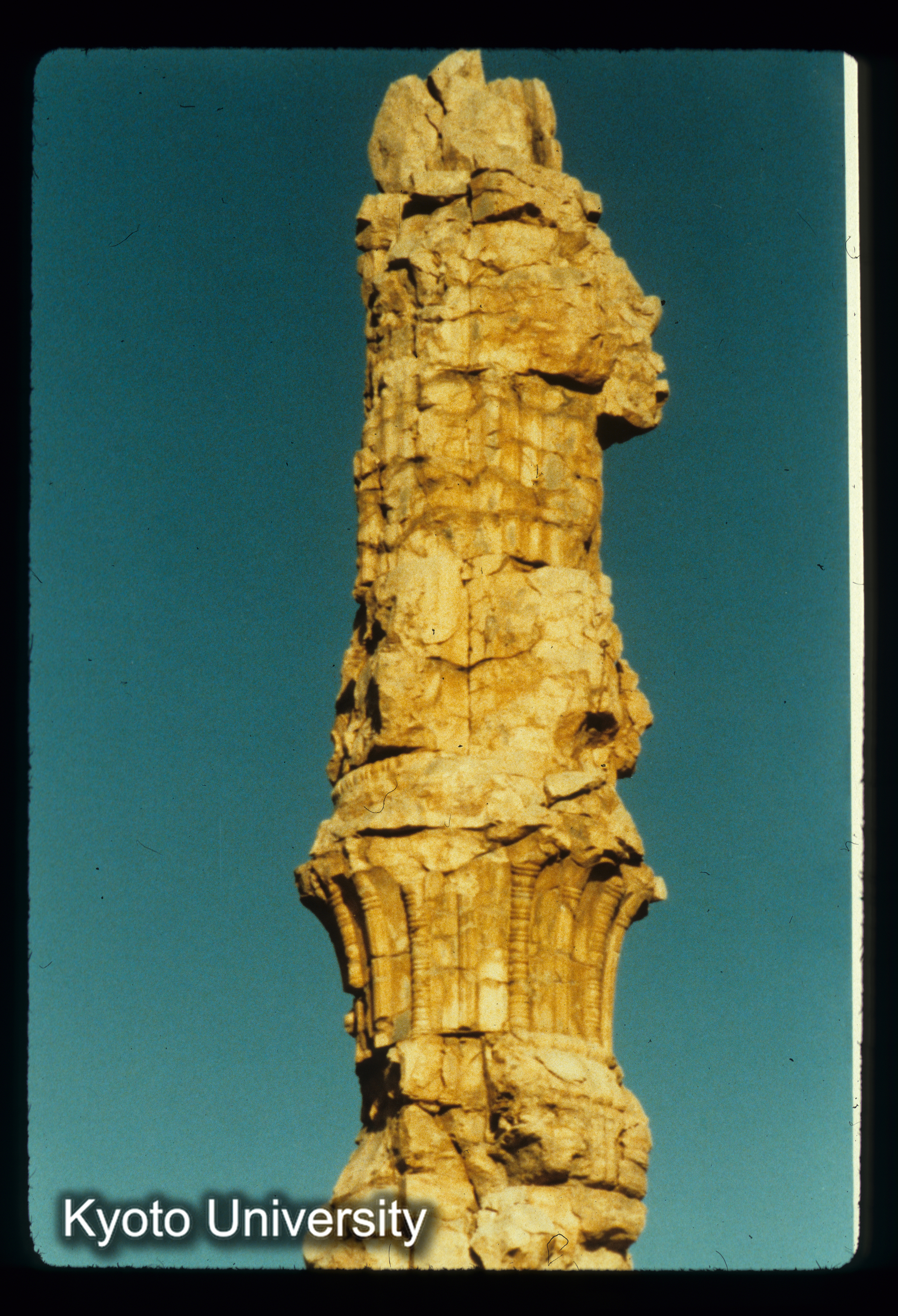 I78_Apadana 柱頭詳細（persepolis） (1)