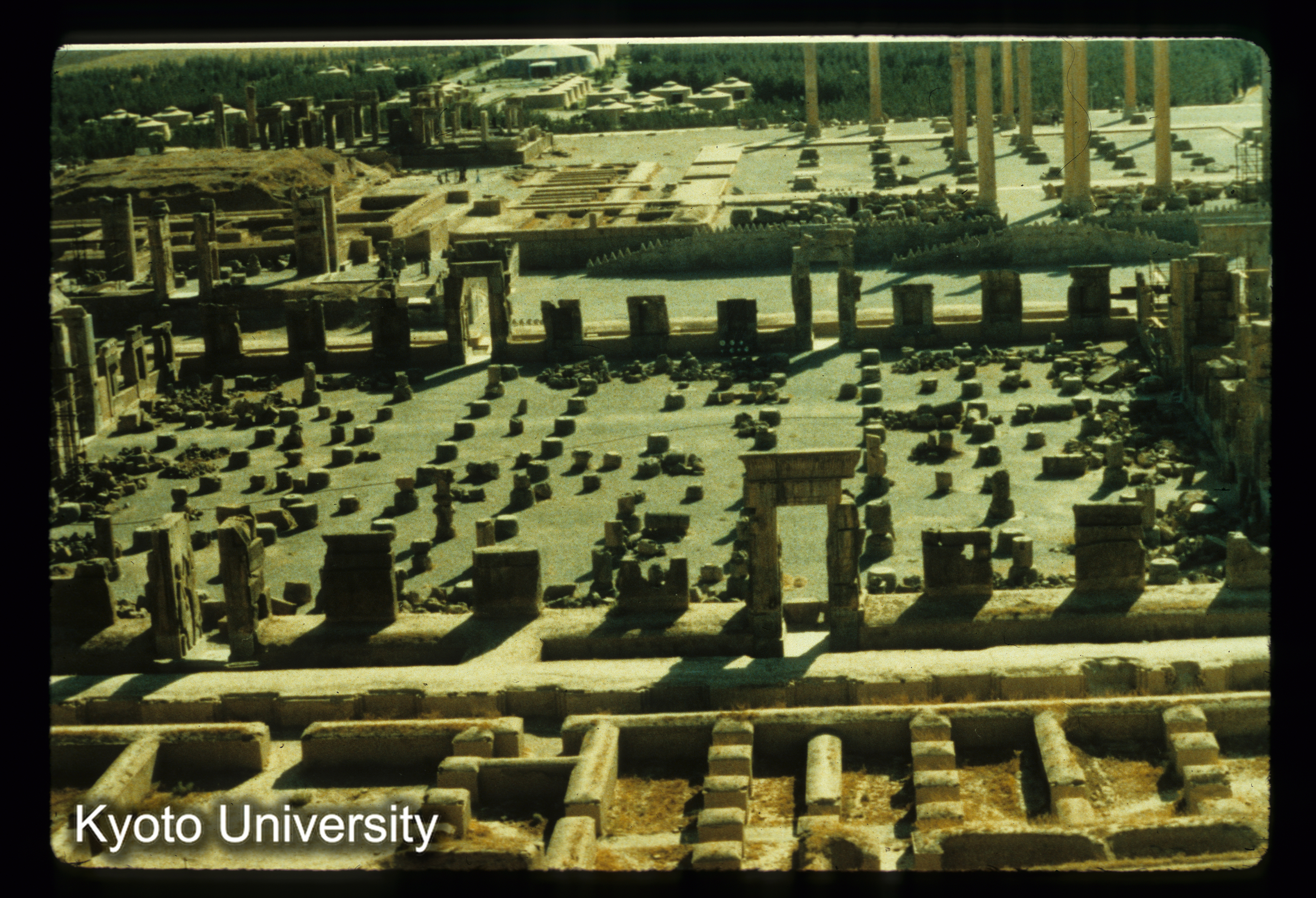 I79_百柱の間 Throne Hall 俯瞰（Persepolis） (1)