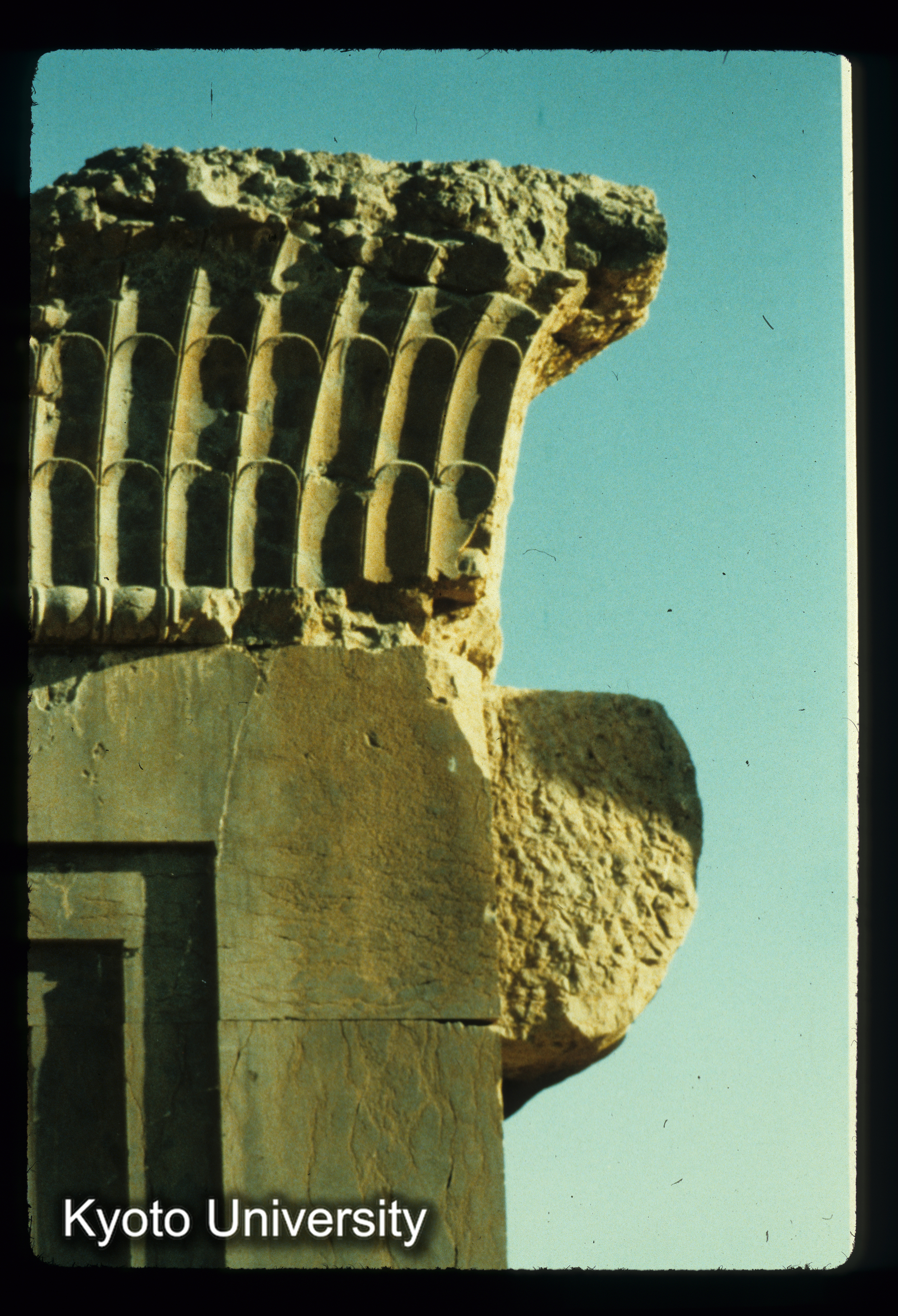 I83_Palace of Darius 軒・柱頭詳細（persepolis） (1)