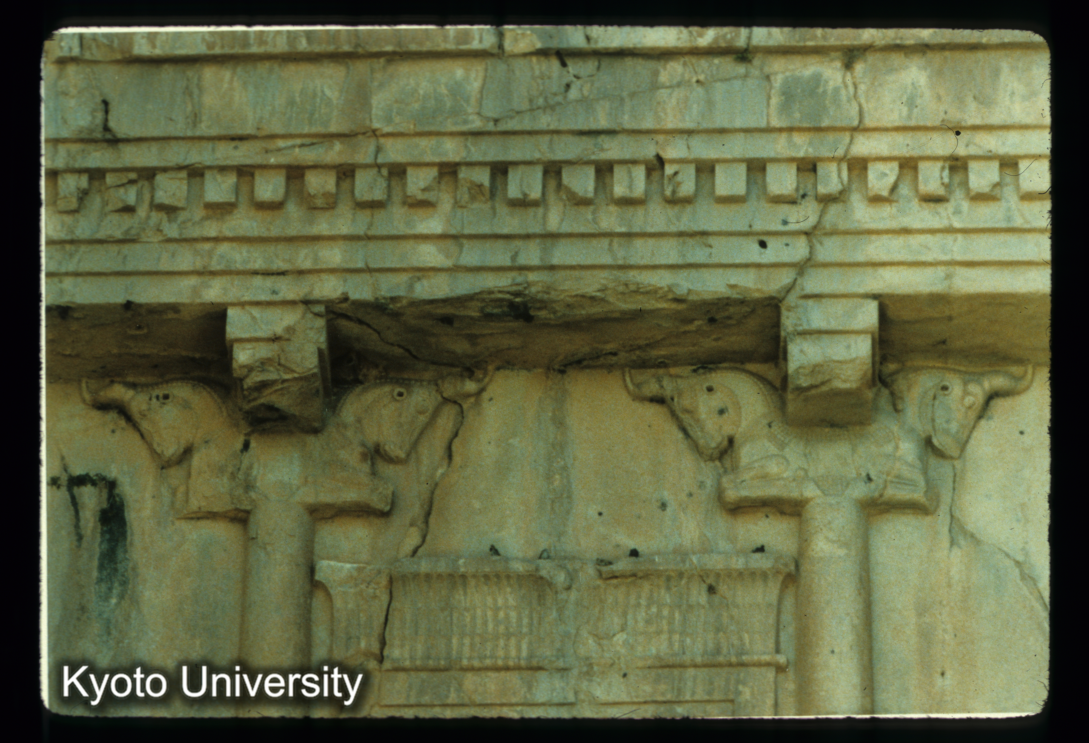 I98_Nagsh-i-Rostan柱頭詳細 (1)