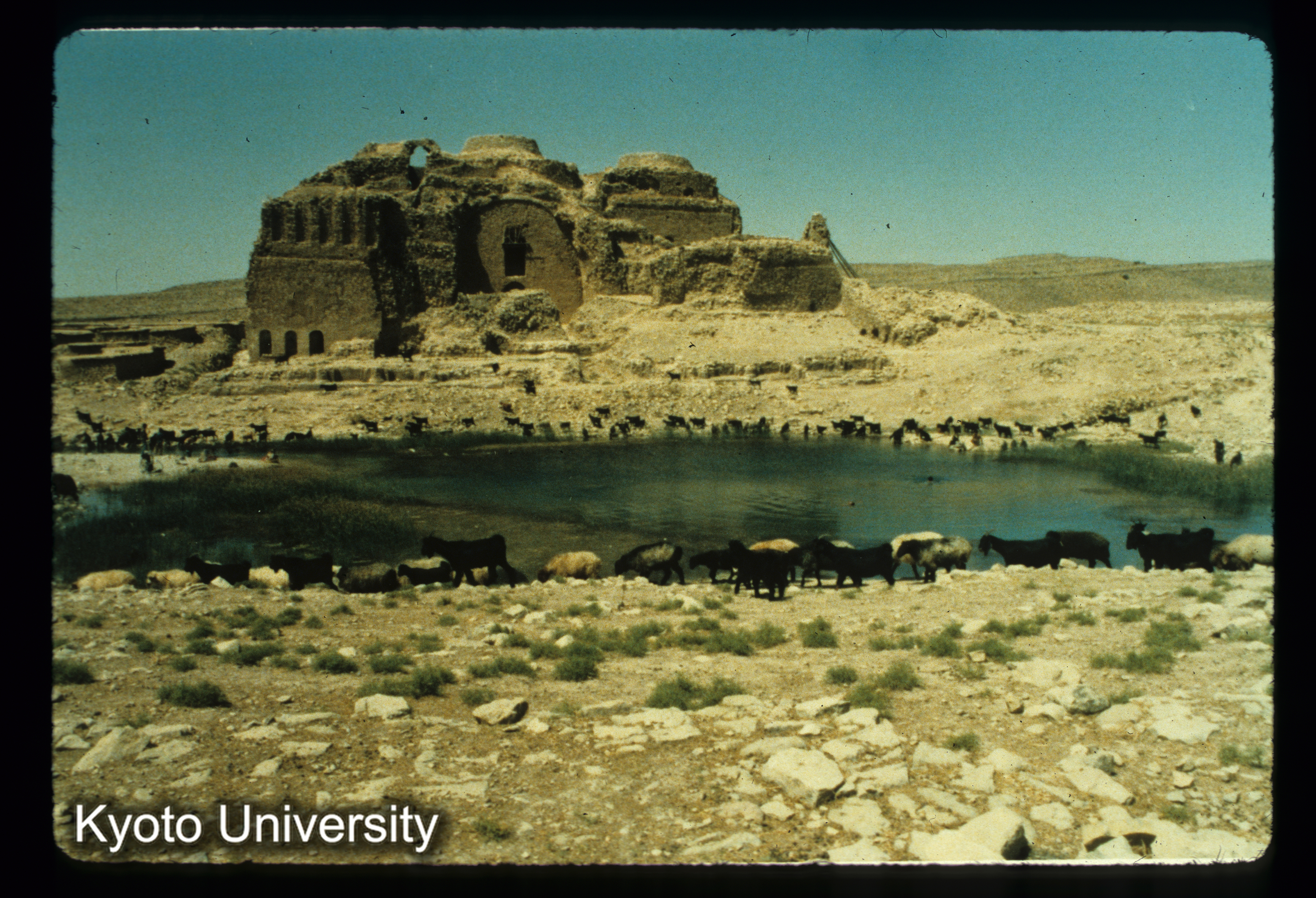 I111_Atishikade（Firuzabad）神殿 Iwan (1)