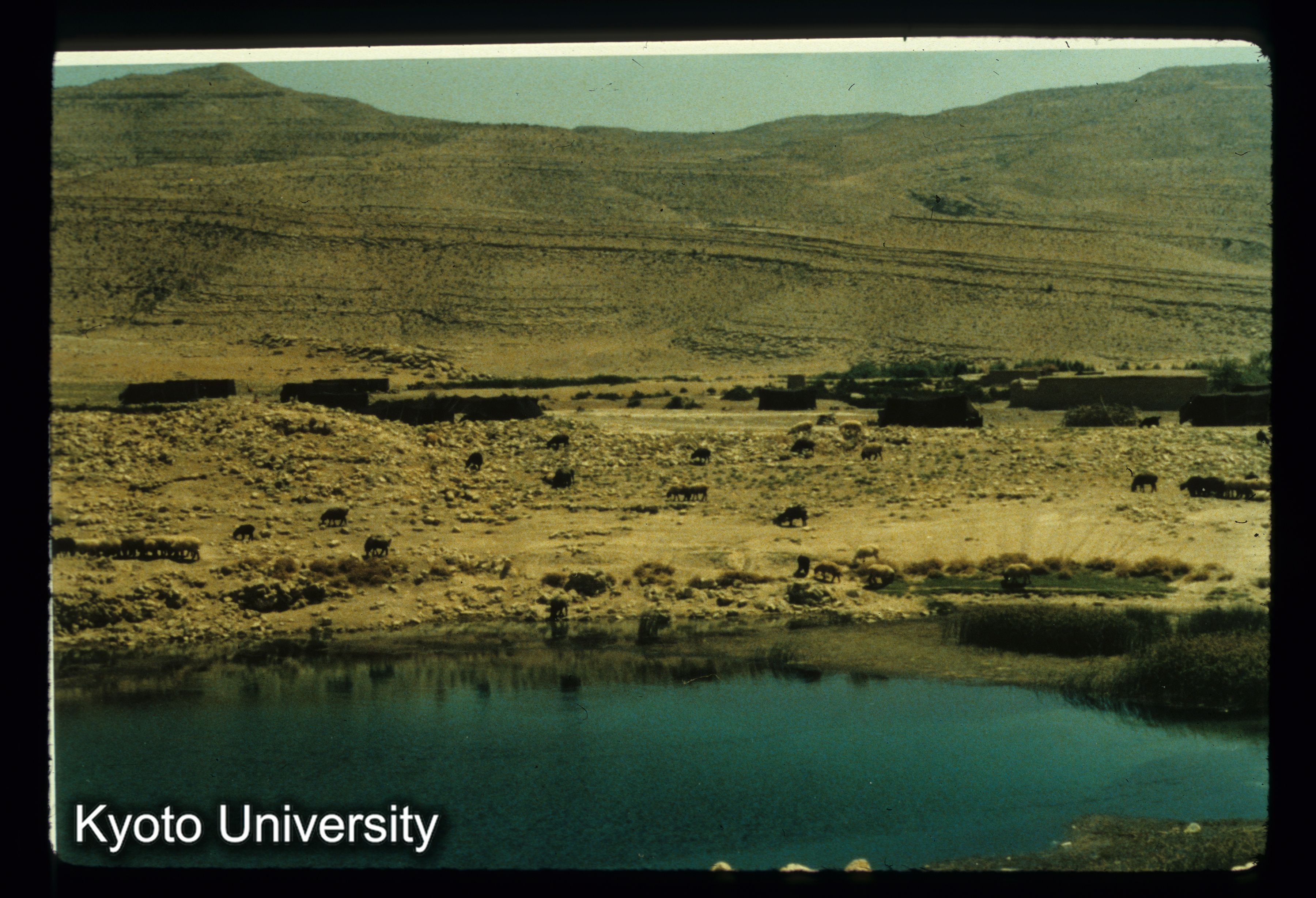 I115_Atishikade（Firuzabad）前の池 iwan (1)