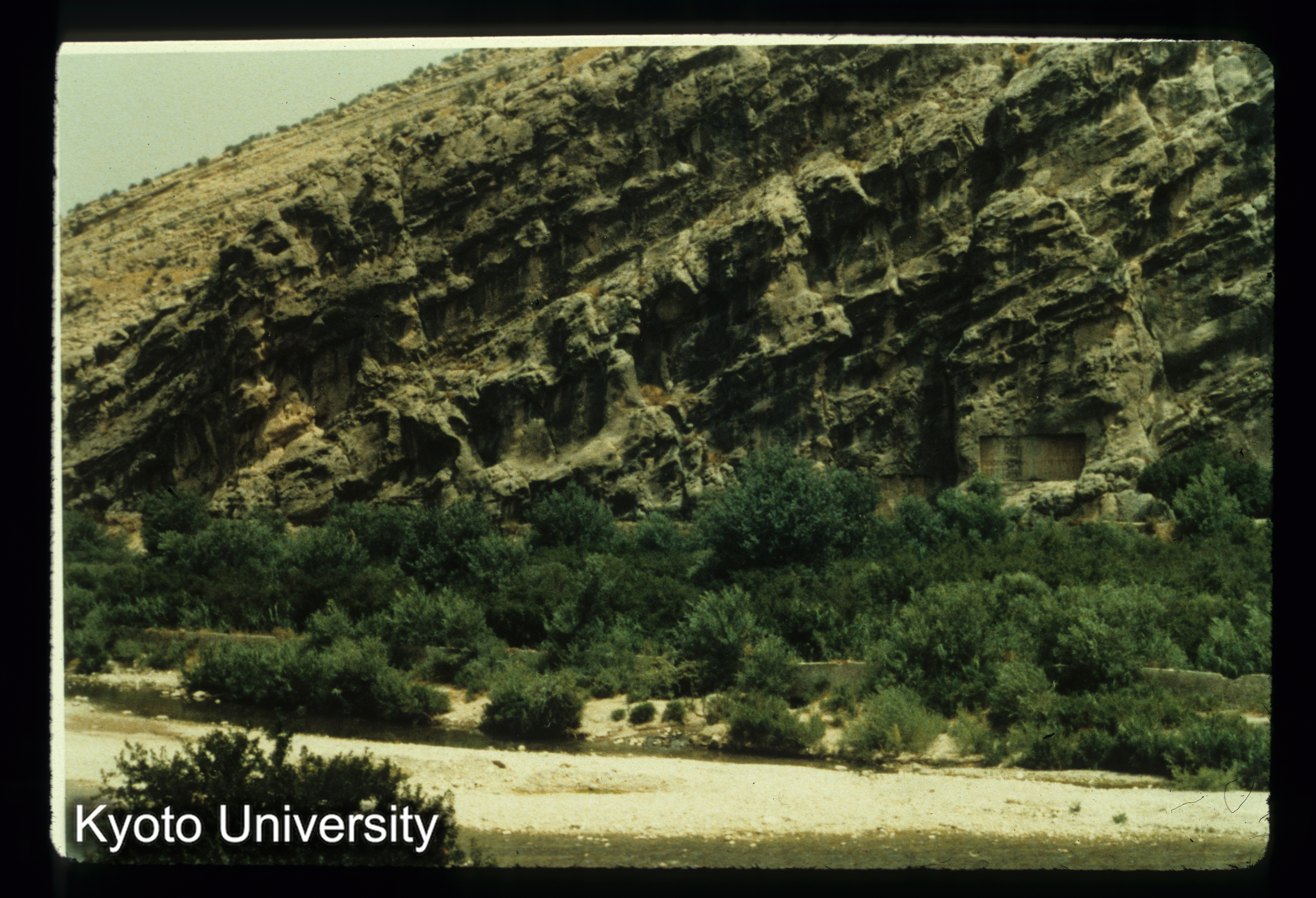 I116_Bishapur摩崖像 対岸より全景をのぞむ (1)