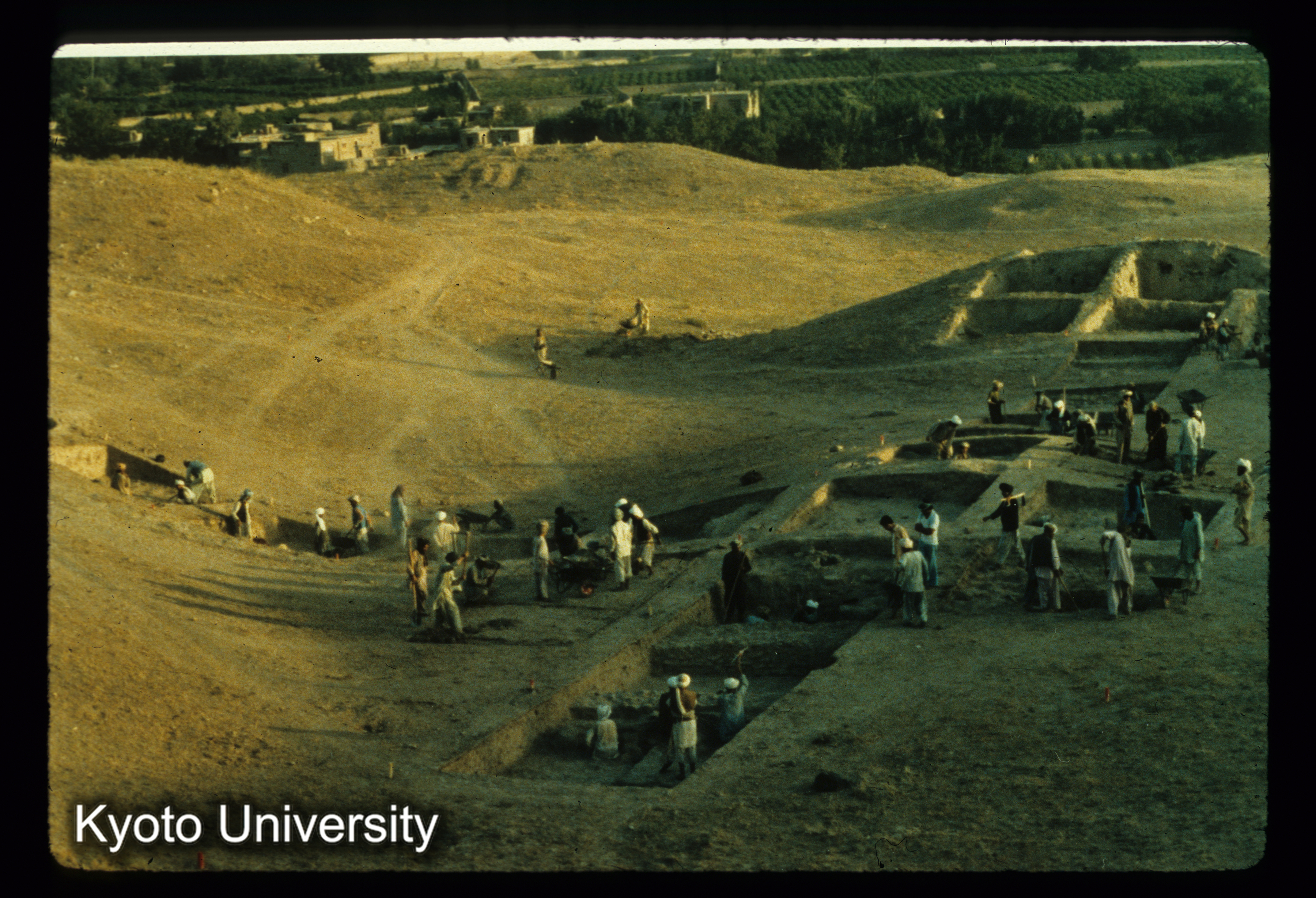 A19_Skandan Tepe発掘全景_（8月末） (1)