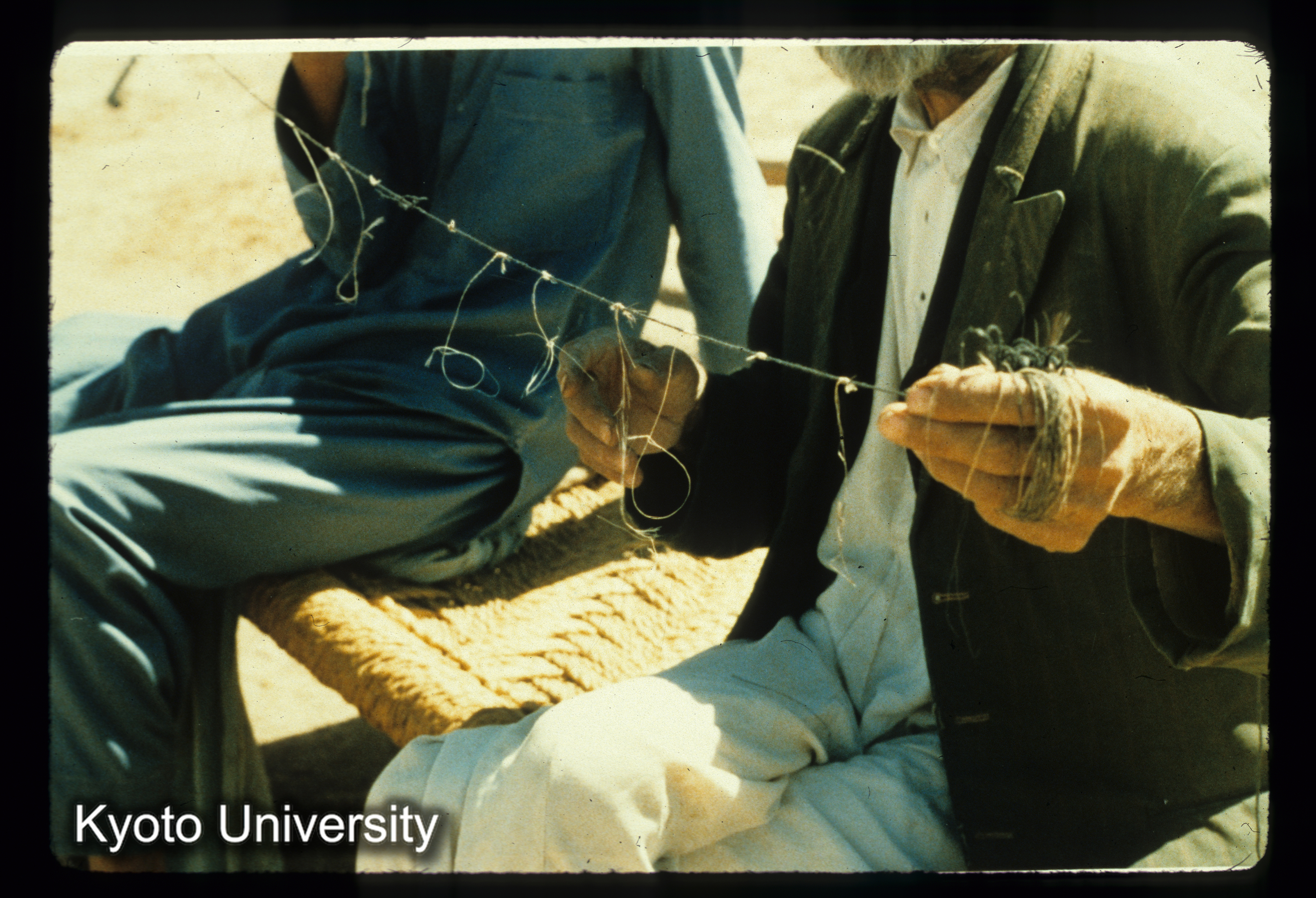 A22_鳥をとる装置 "dām" (1)