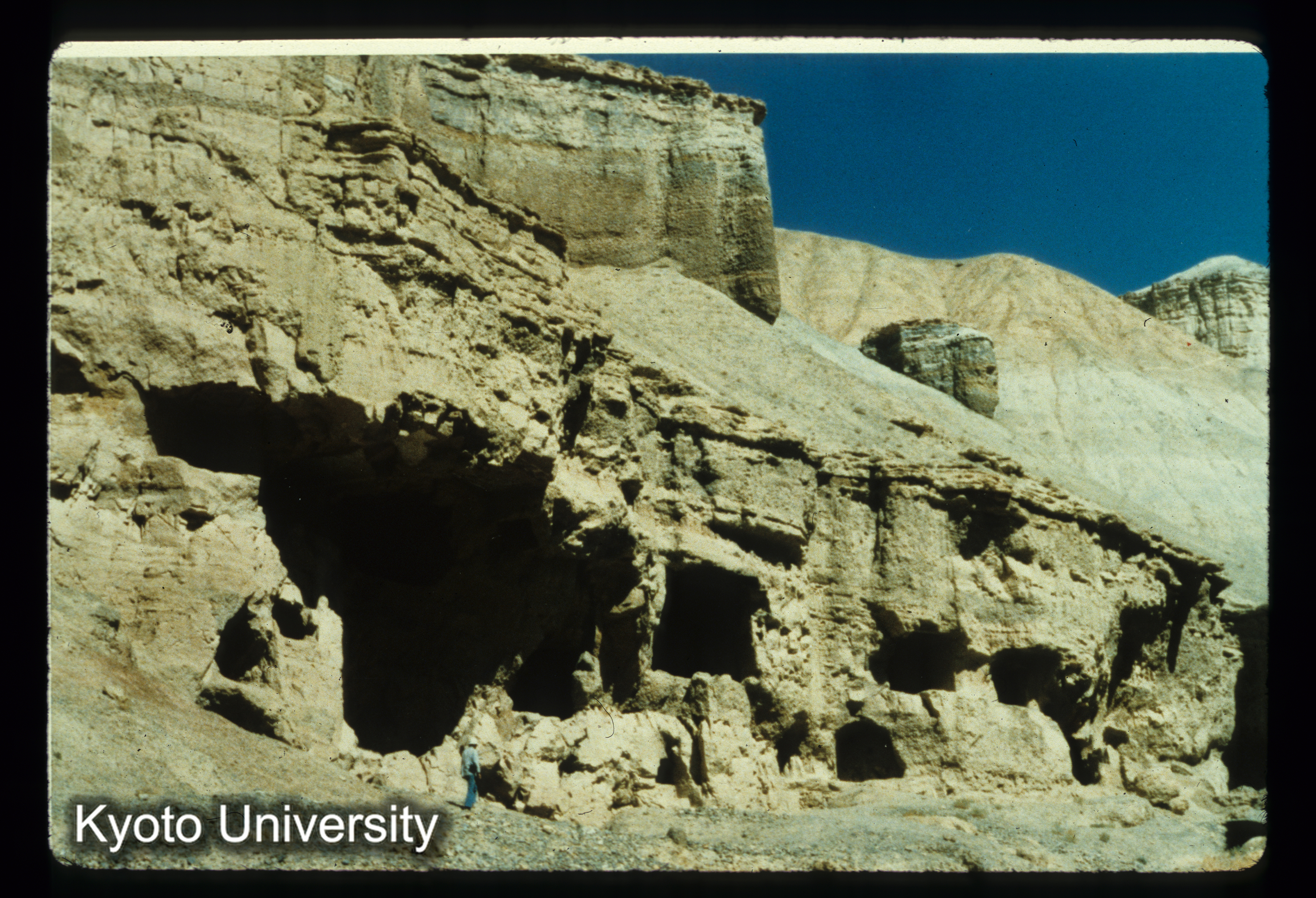 A51_Folady全景 (1)