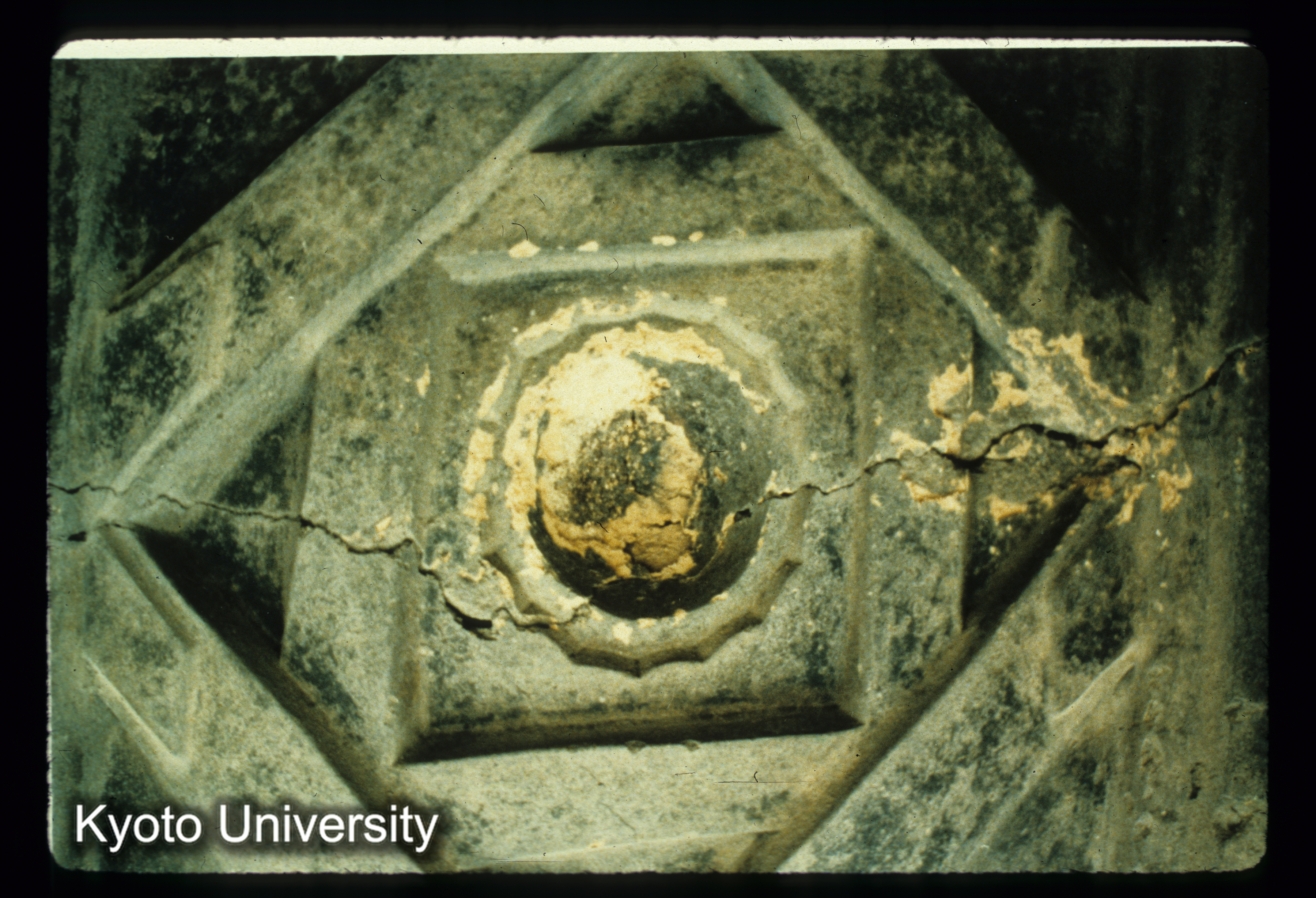 A55_Folady Laternen Decke見上 (1)