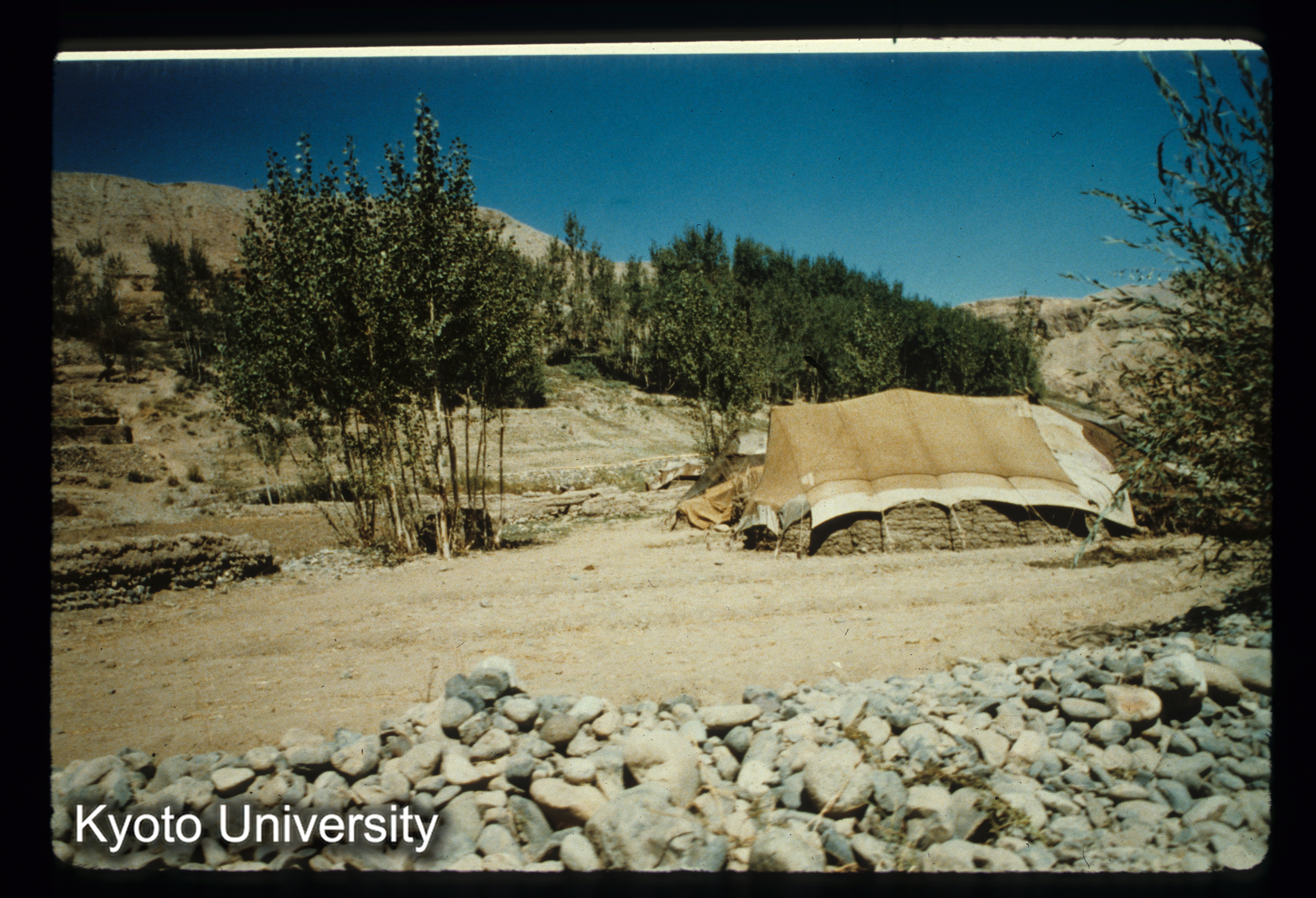 A62_Kakrak付近 Kutschのテント (1)