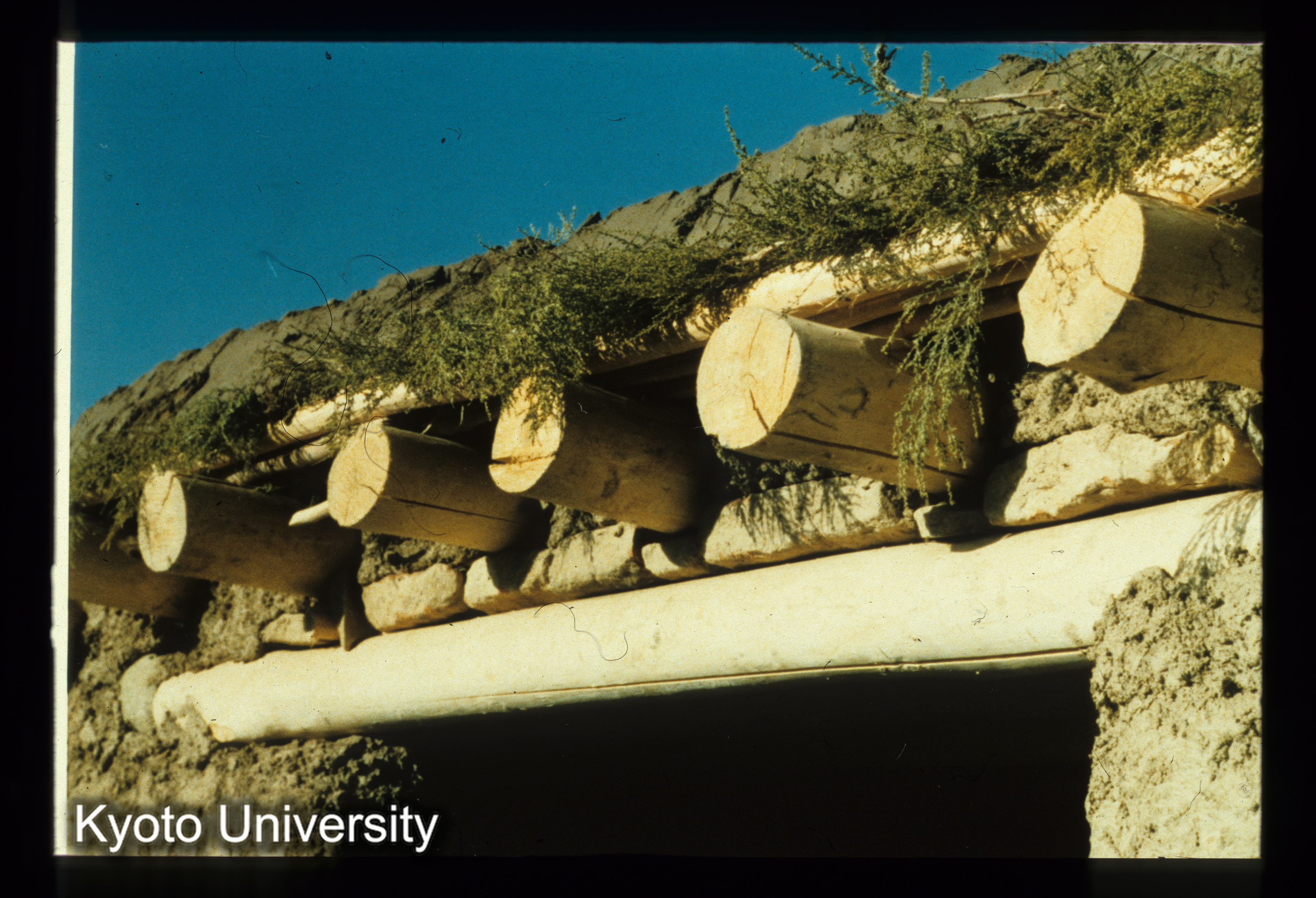 A90_軒先完了 (1)