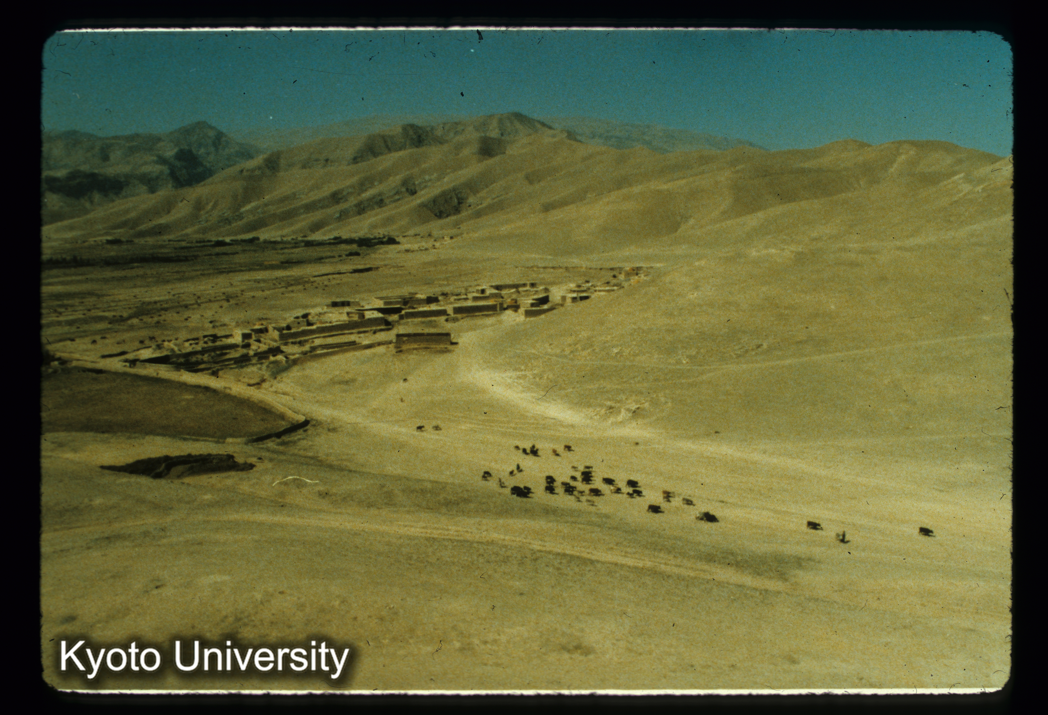 A107_Surkh Kotal のウラ山 羊と牛と集落 (1)