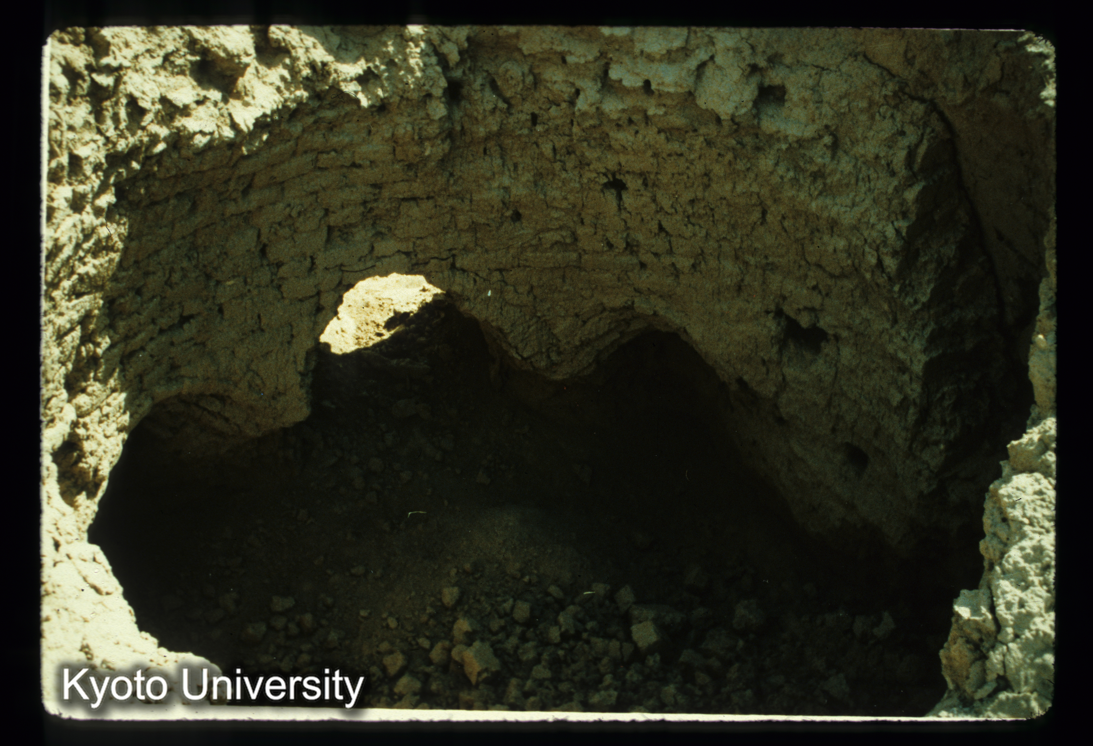 A109_Kona Masjid（near Surkh Kotal）ドームの建物（d.b.） (1)