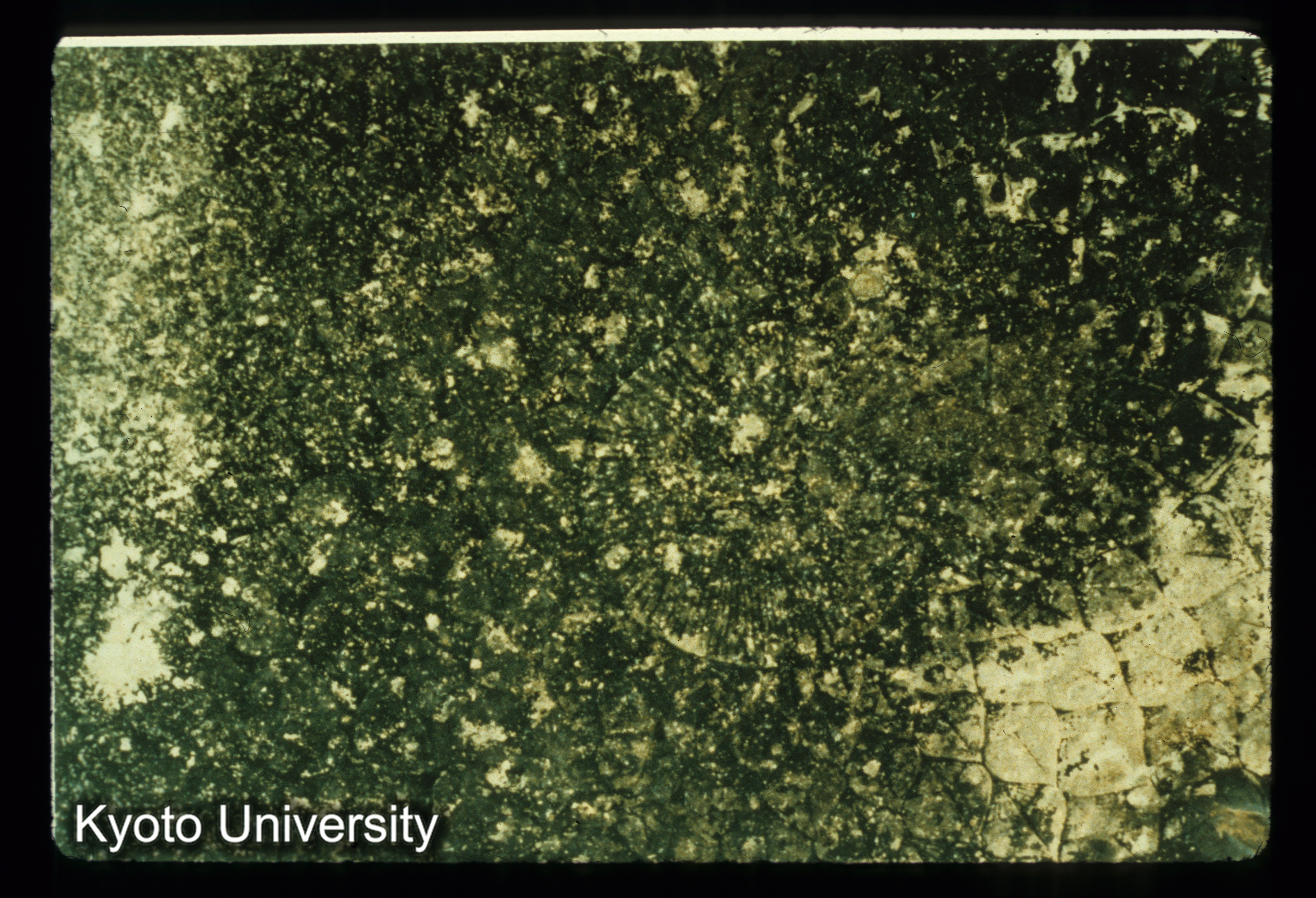 A119_Hibak cave （最左の窟） 線状渦文・花文 (1)