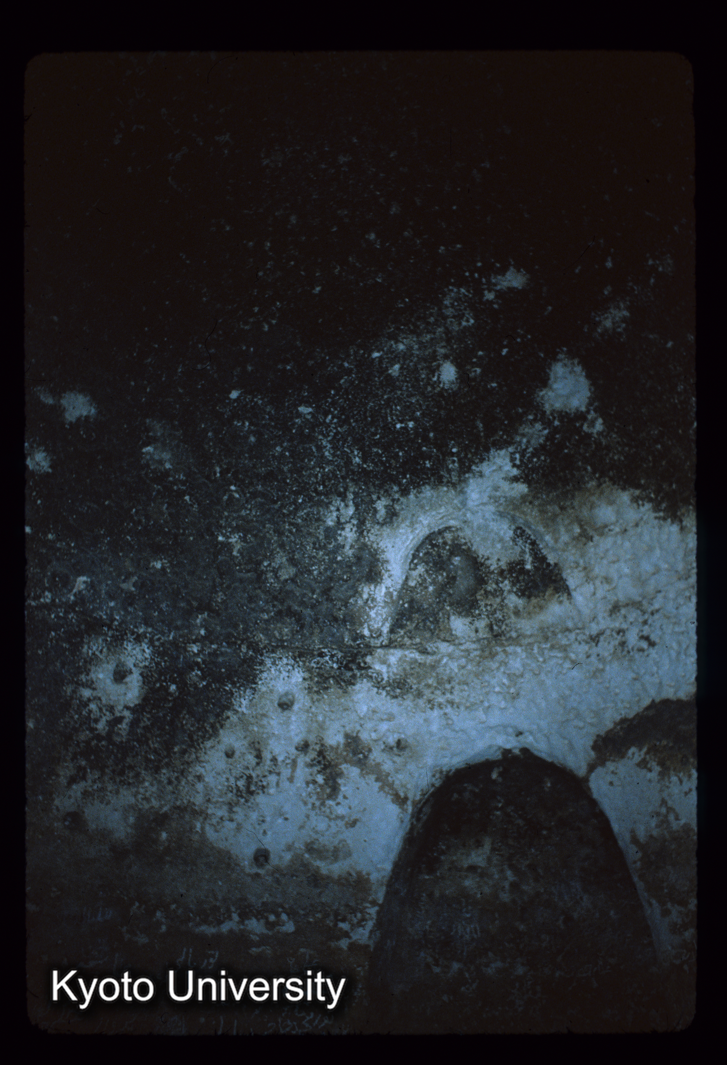 A120_Hibak cave （ドーム）内部 (1)