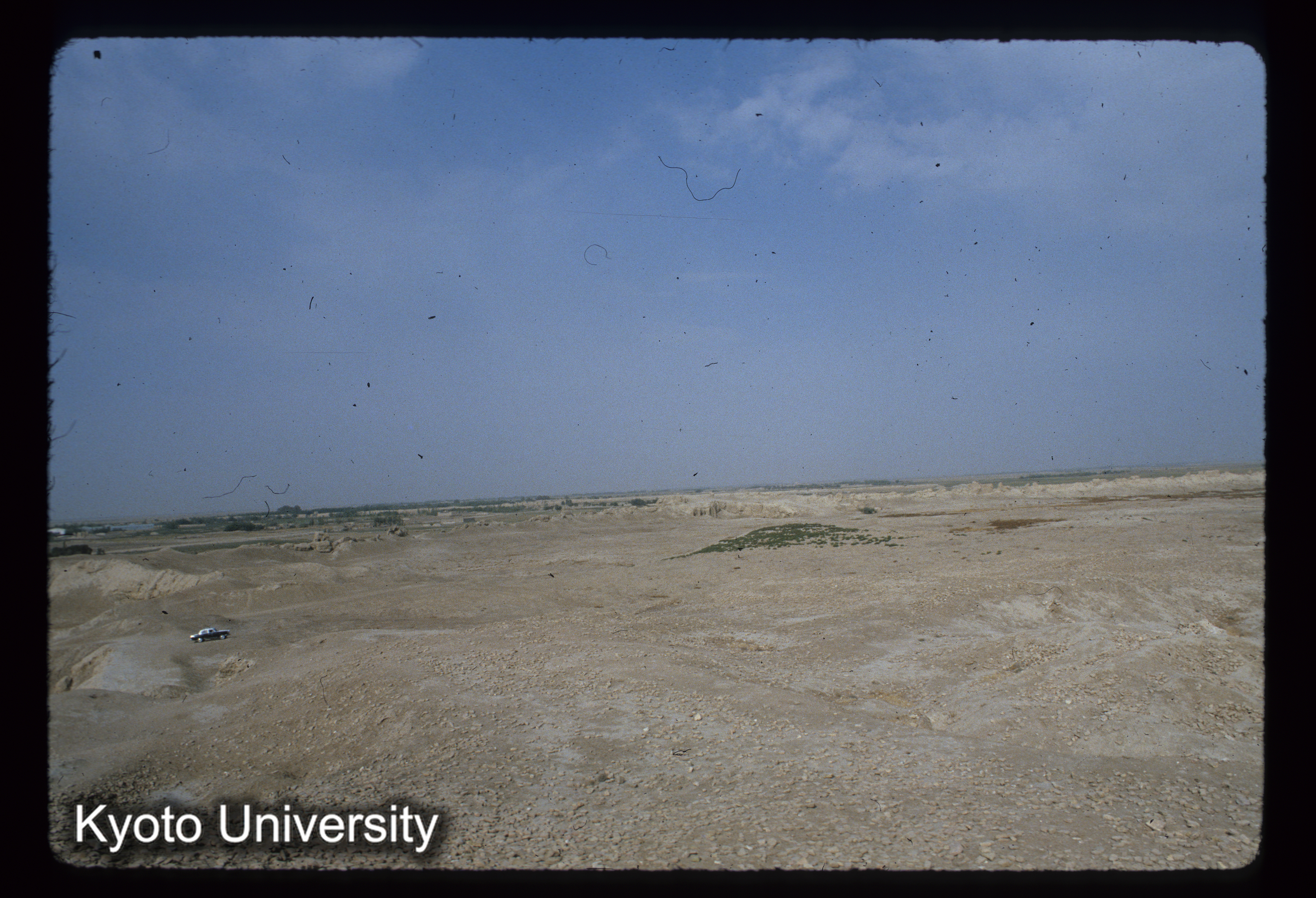 A135_Balkh Diwar Timuri (1)