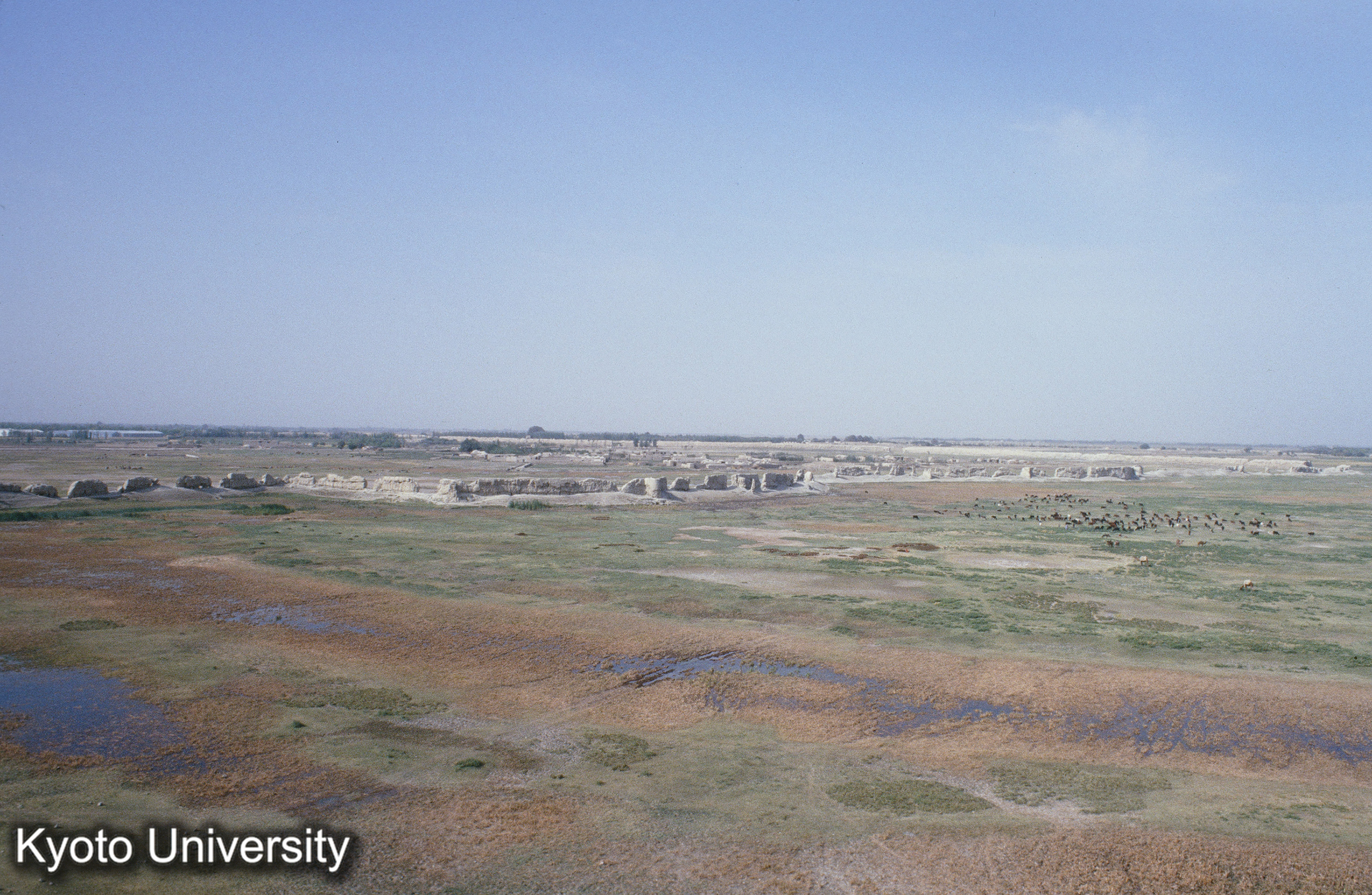 A137_Balkh Diwar Timuri (1)